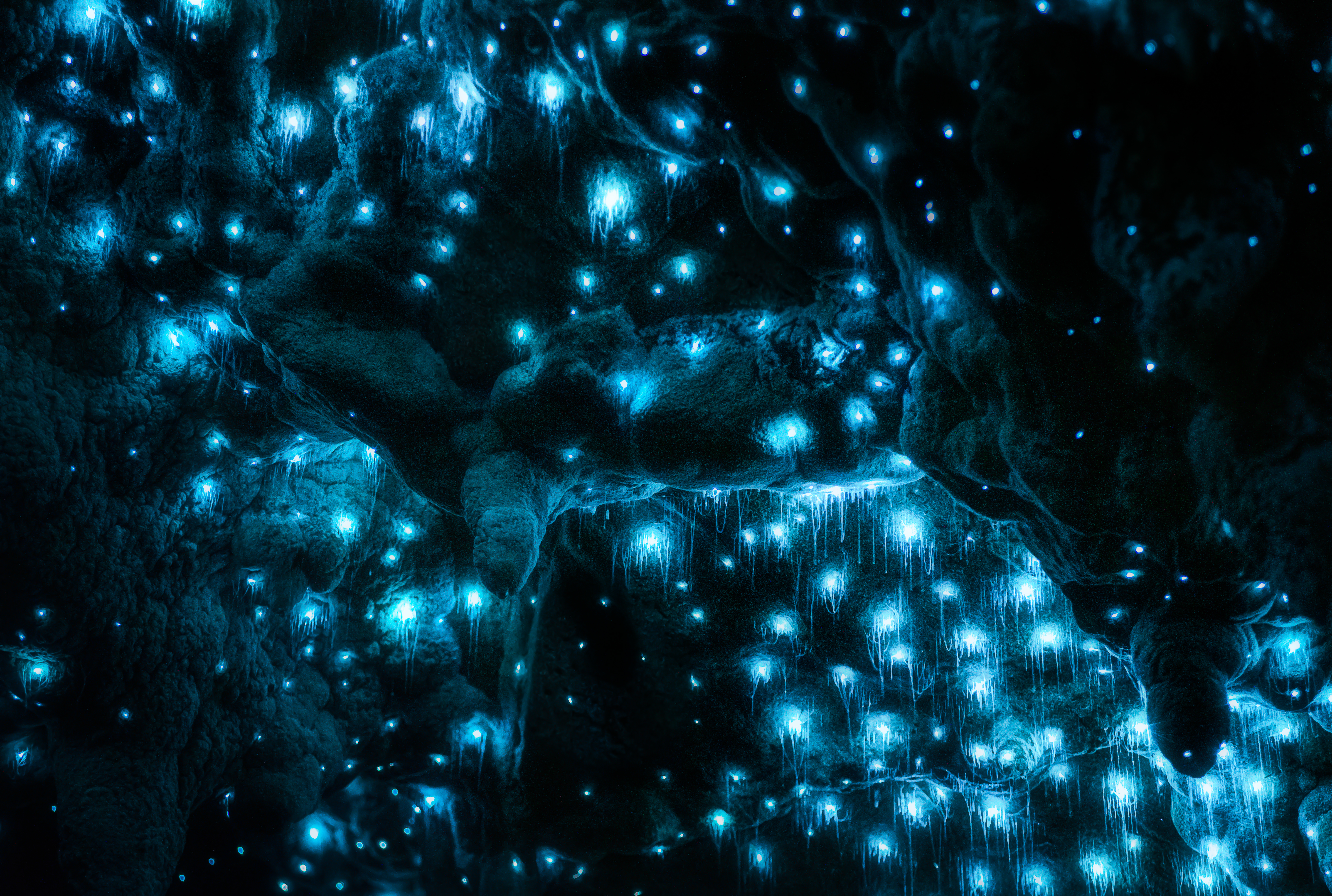 Glow in the dark world