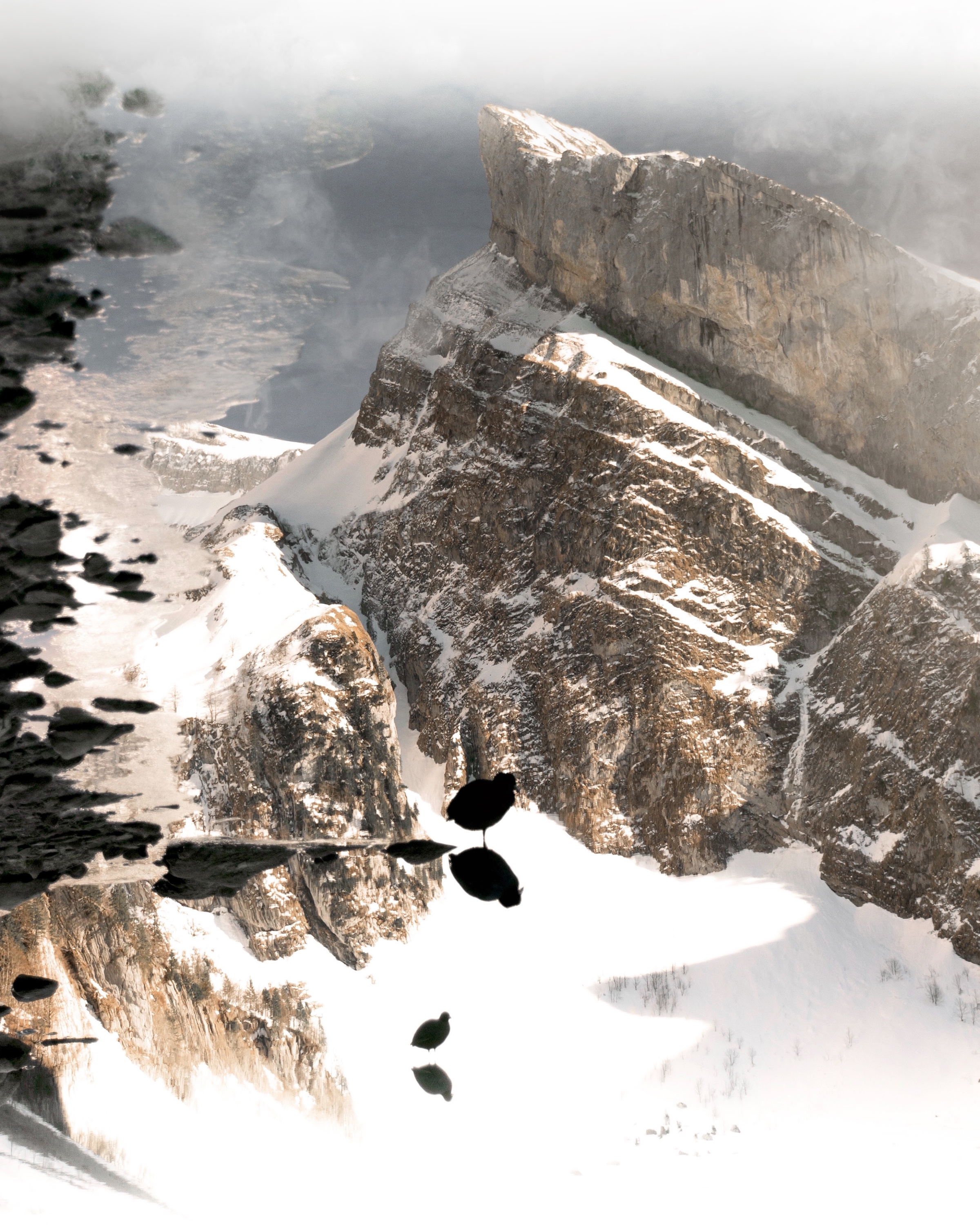 Alpine Lights - Freedom #17