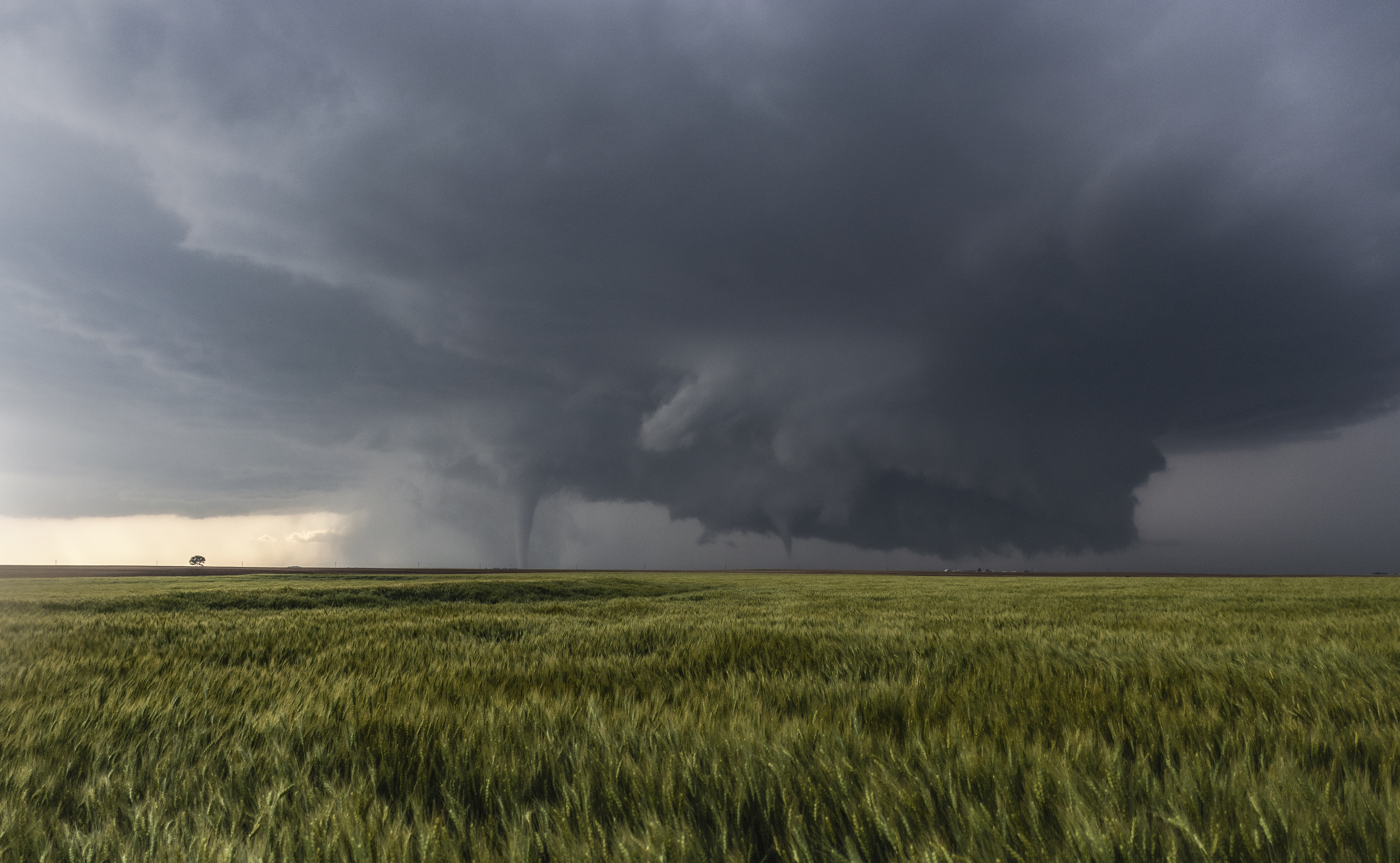 Dodge City Twin Tornados 