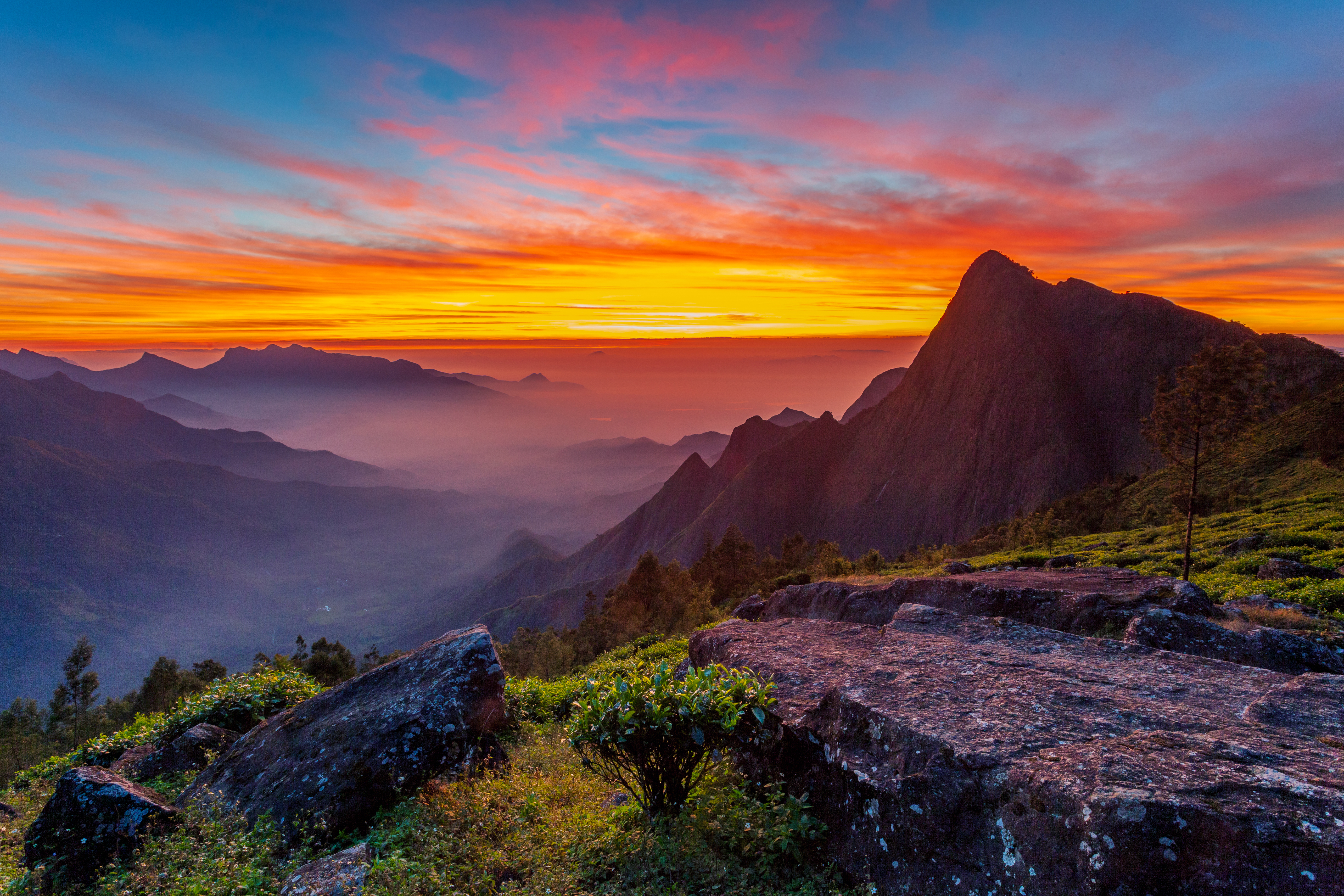 Sun-Kissed mountain of Kolukkumalai.
