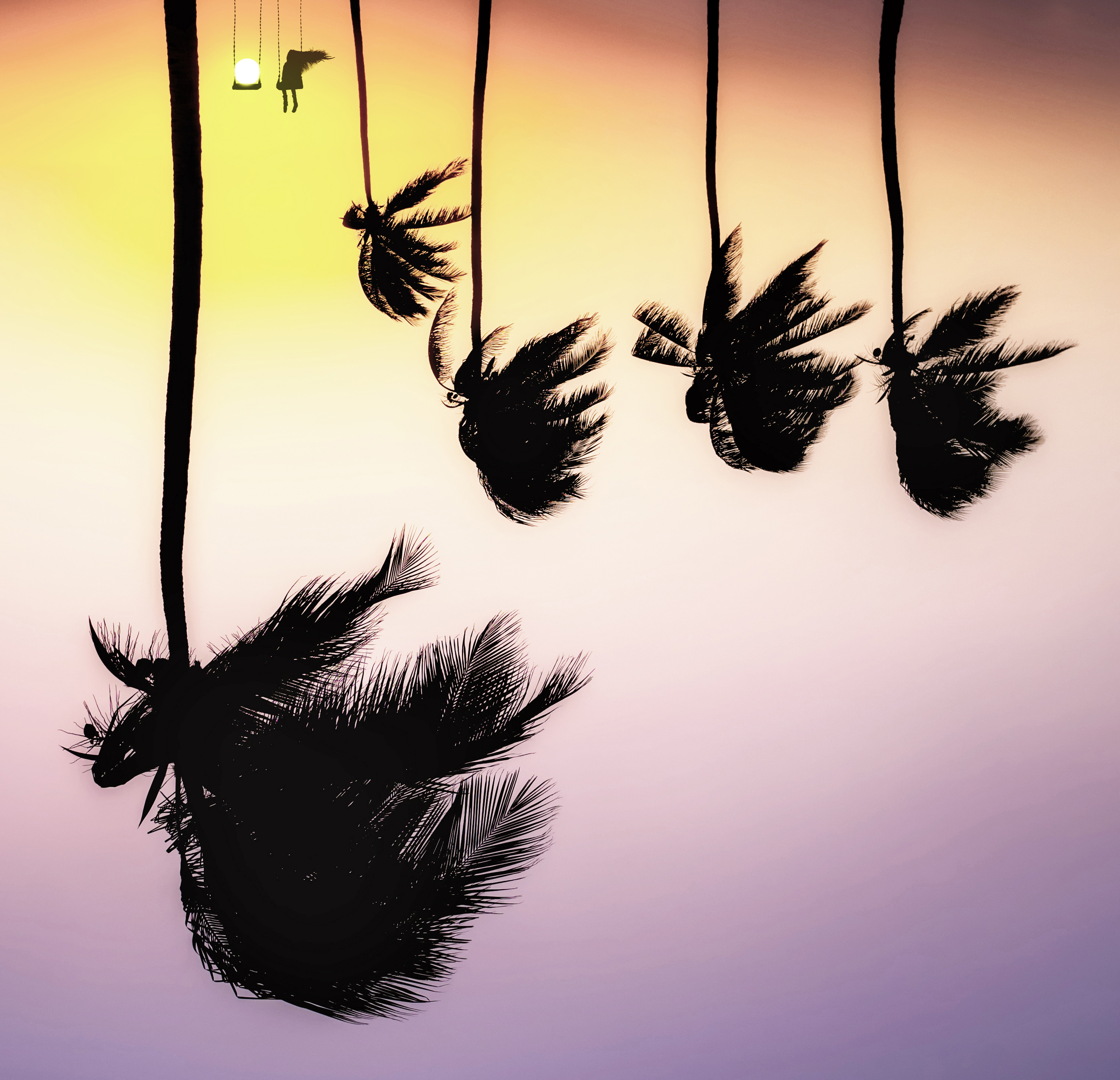 swing the freedom