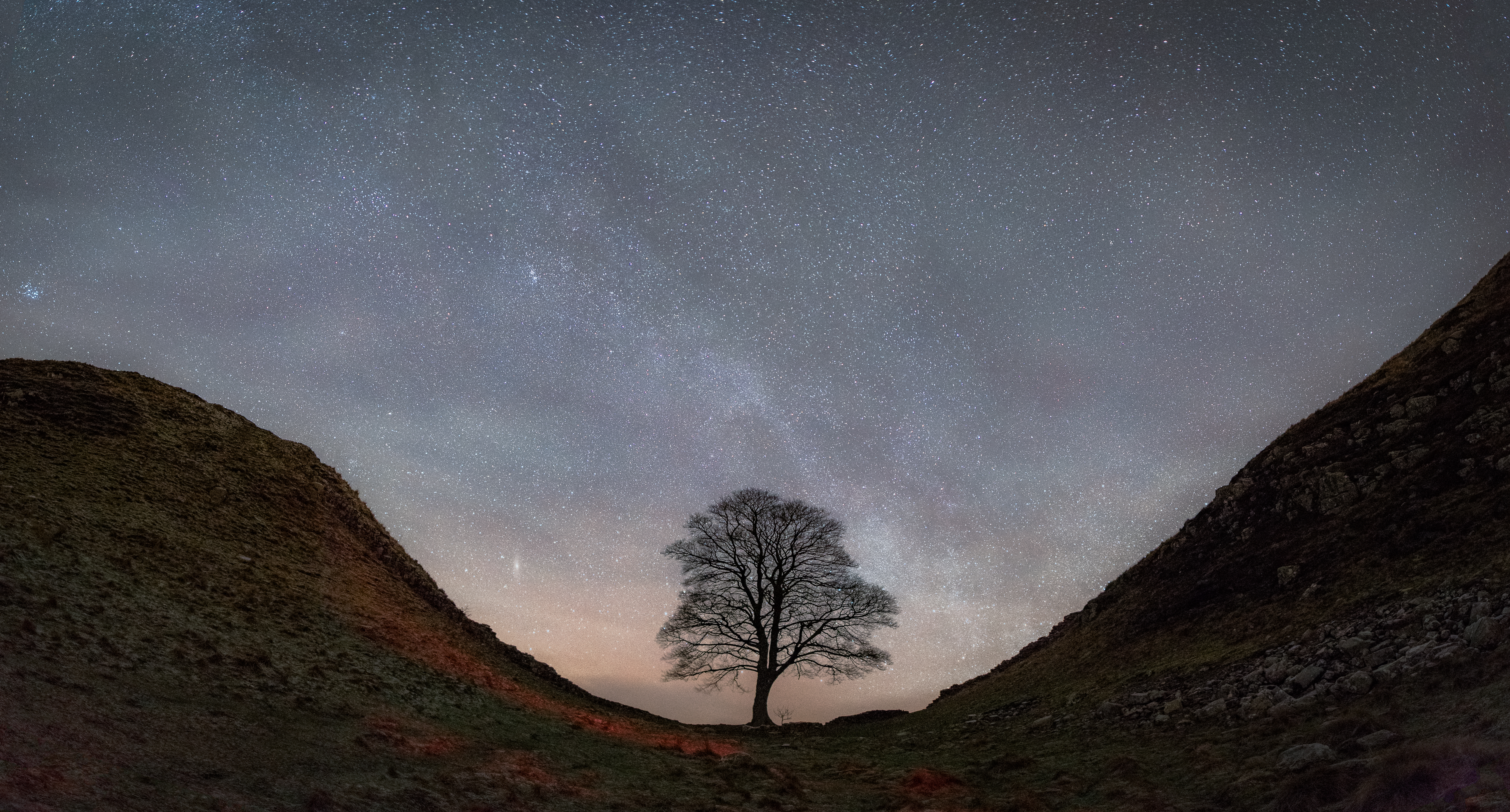 Sycamore gap 