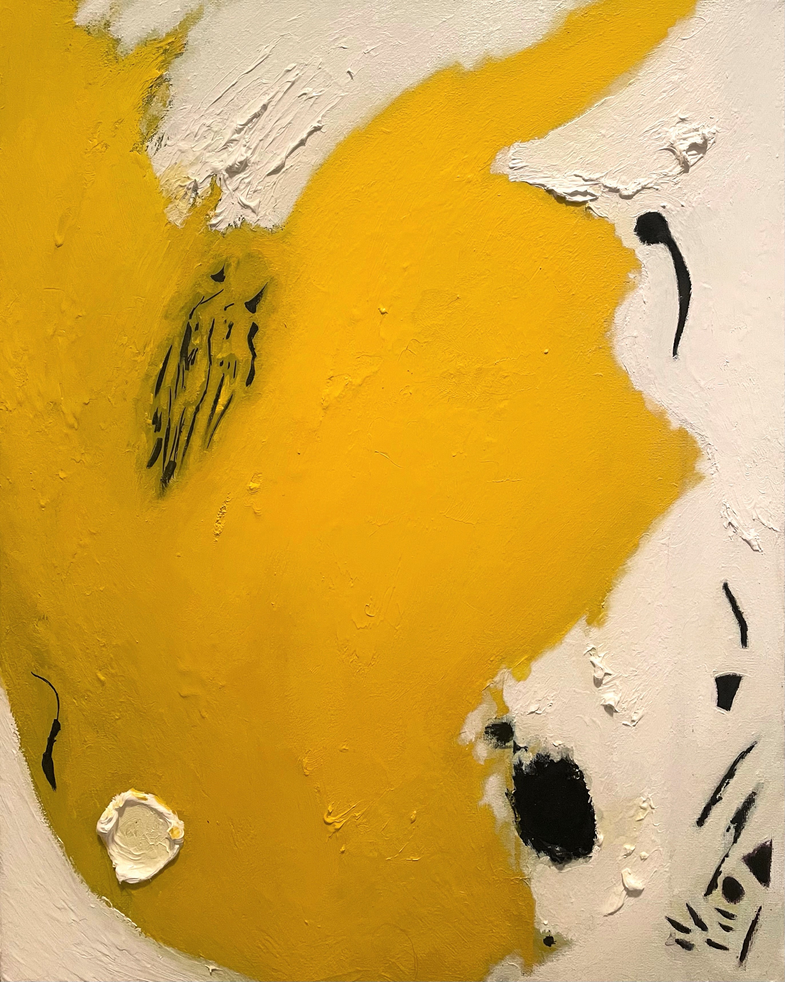 Colors Living Through Me