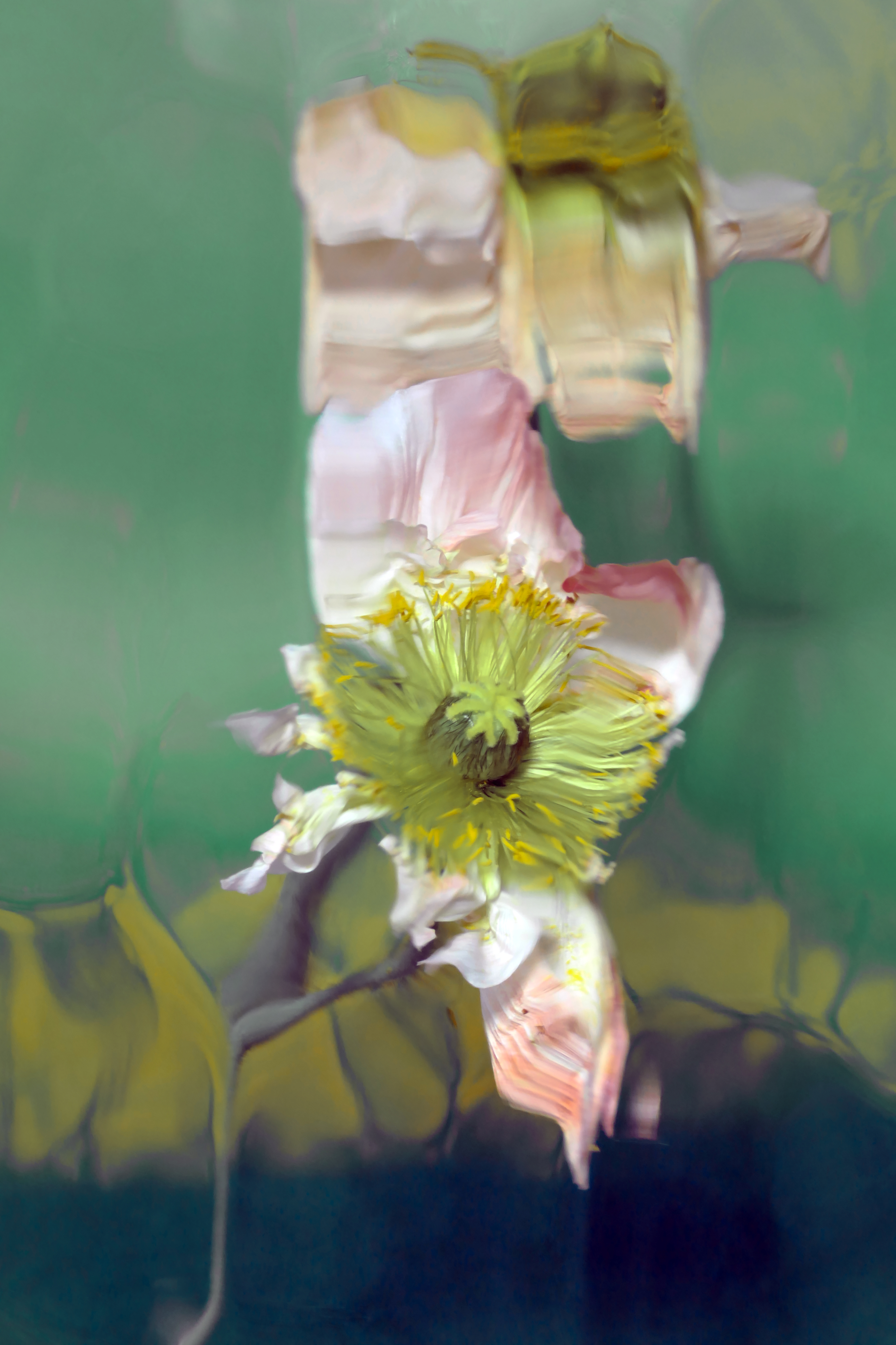 In Praise of Imperfections