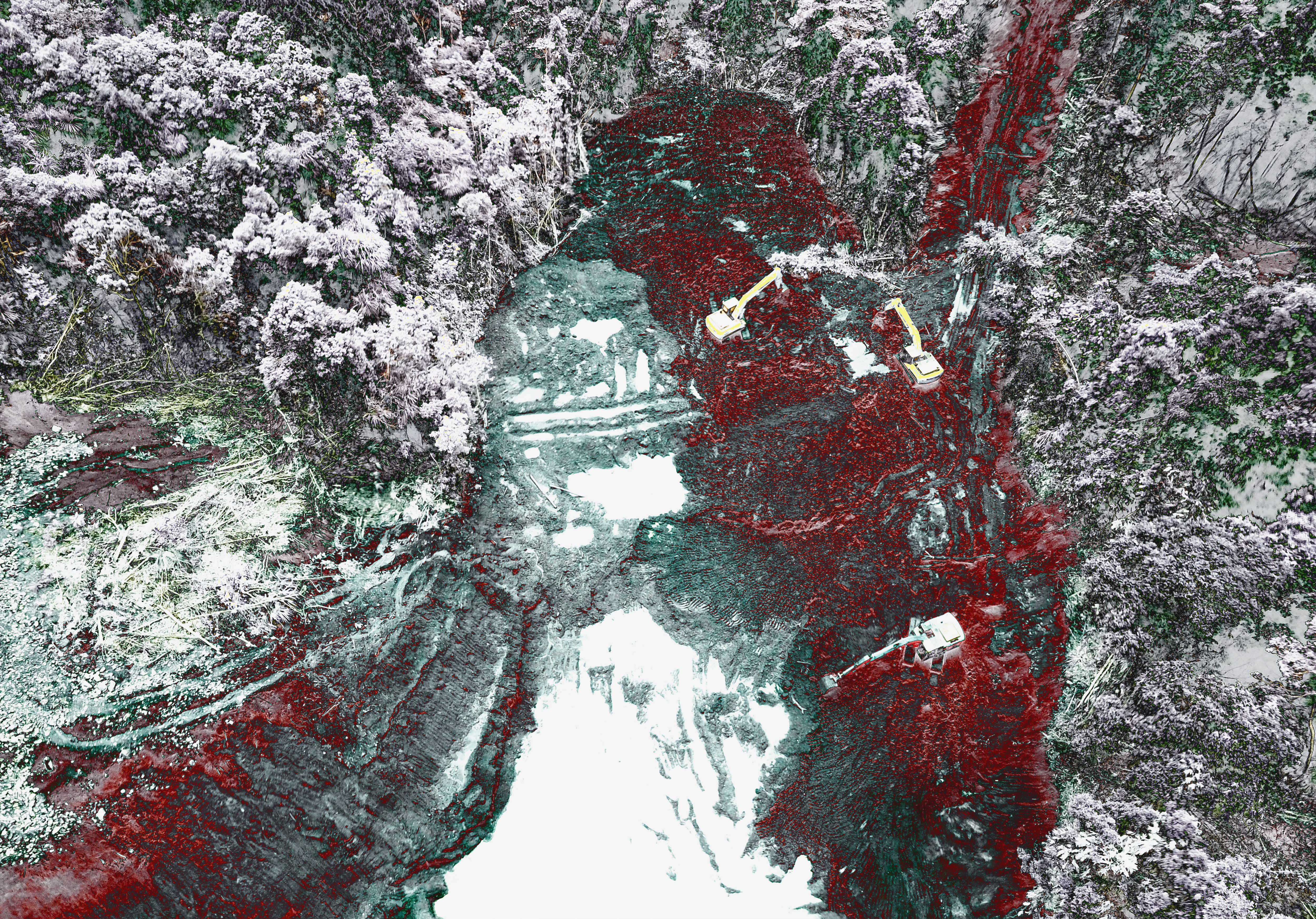 Bleeding Of The Earth : Bleeding - Body #04