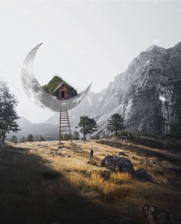 I'll Wait for you Here 