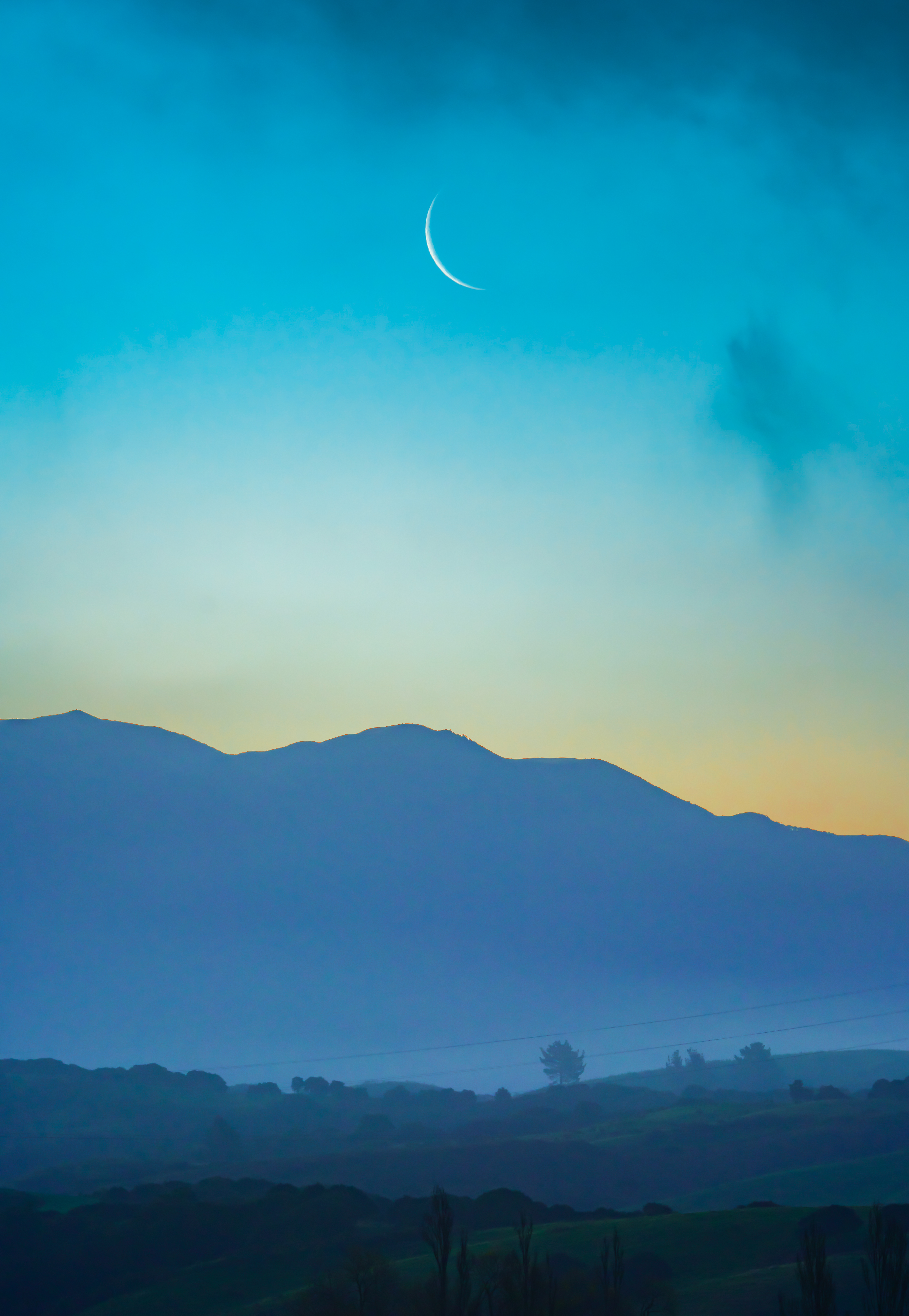 Blue Moon