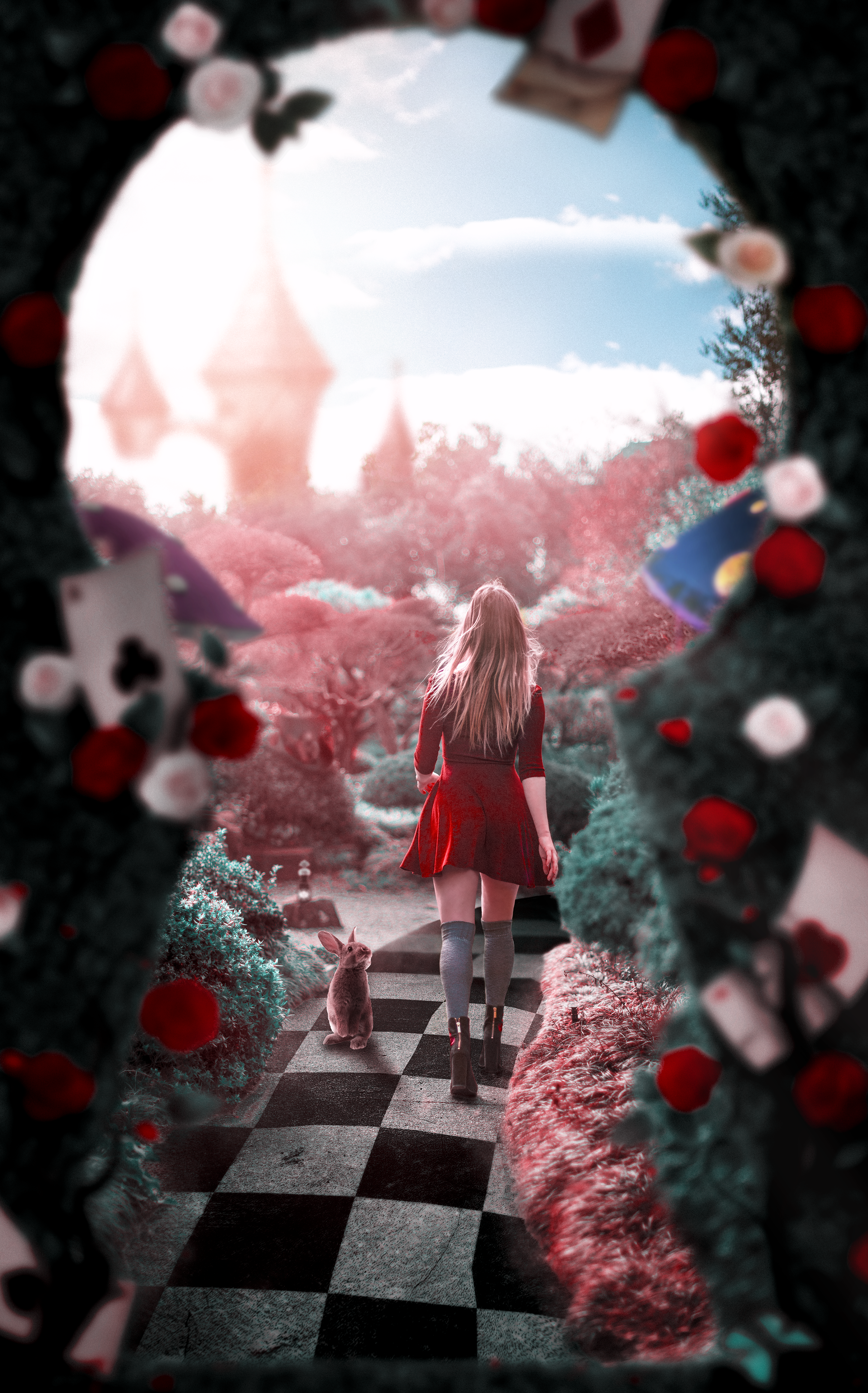 Wonderland