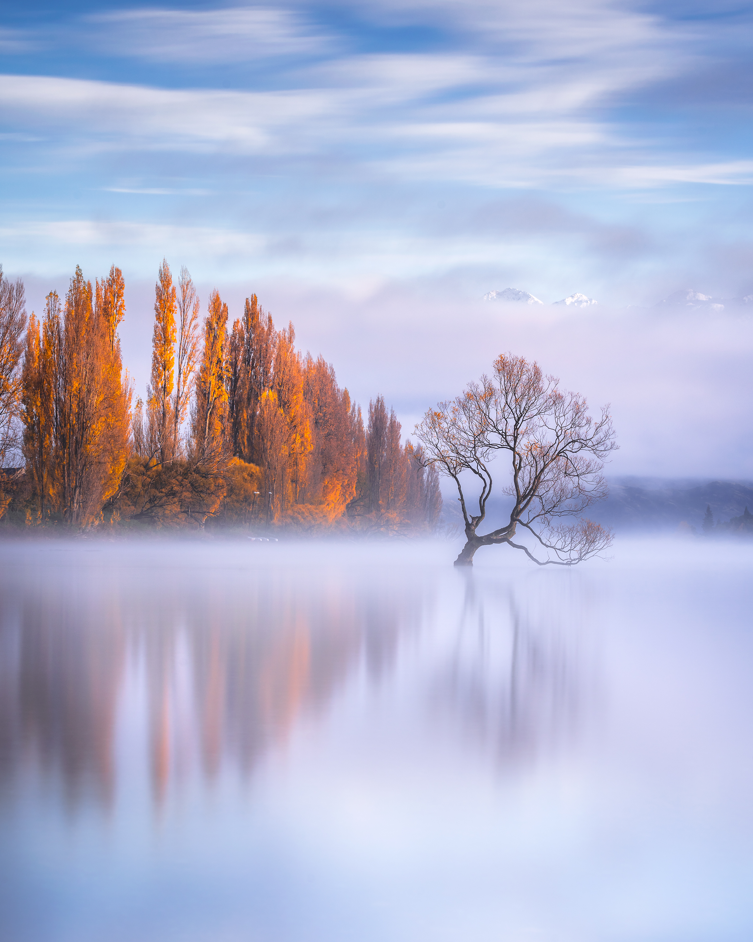Solitude 