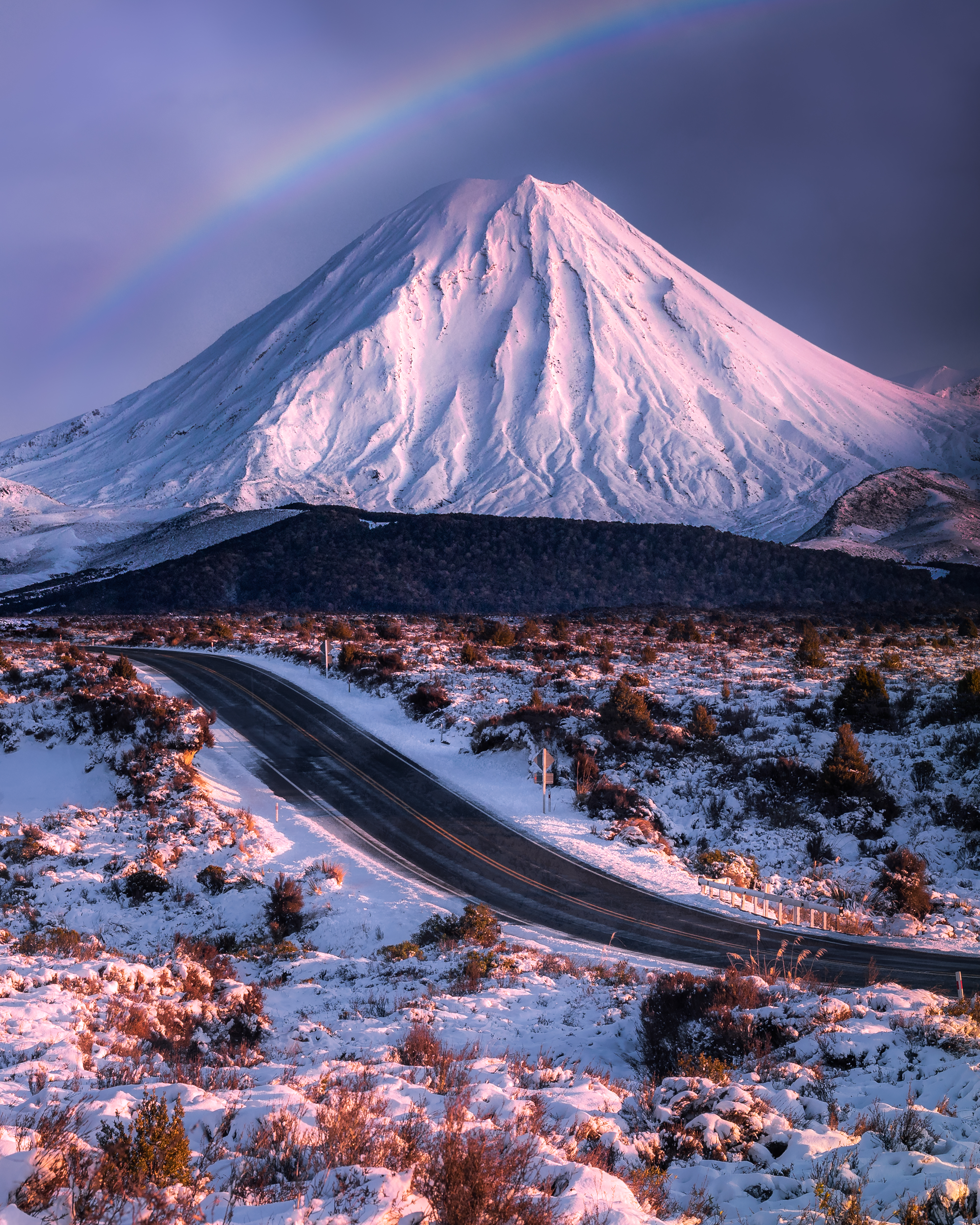The Road Home