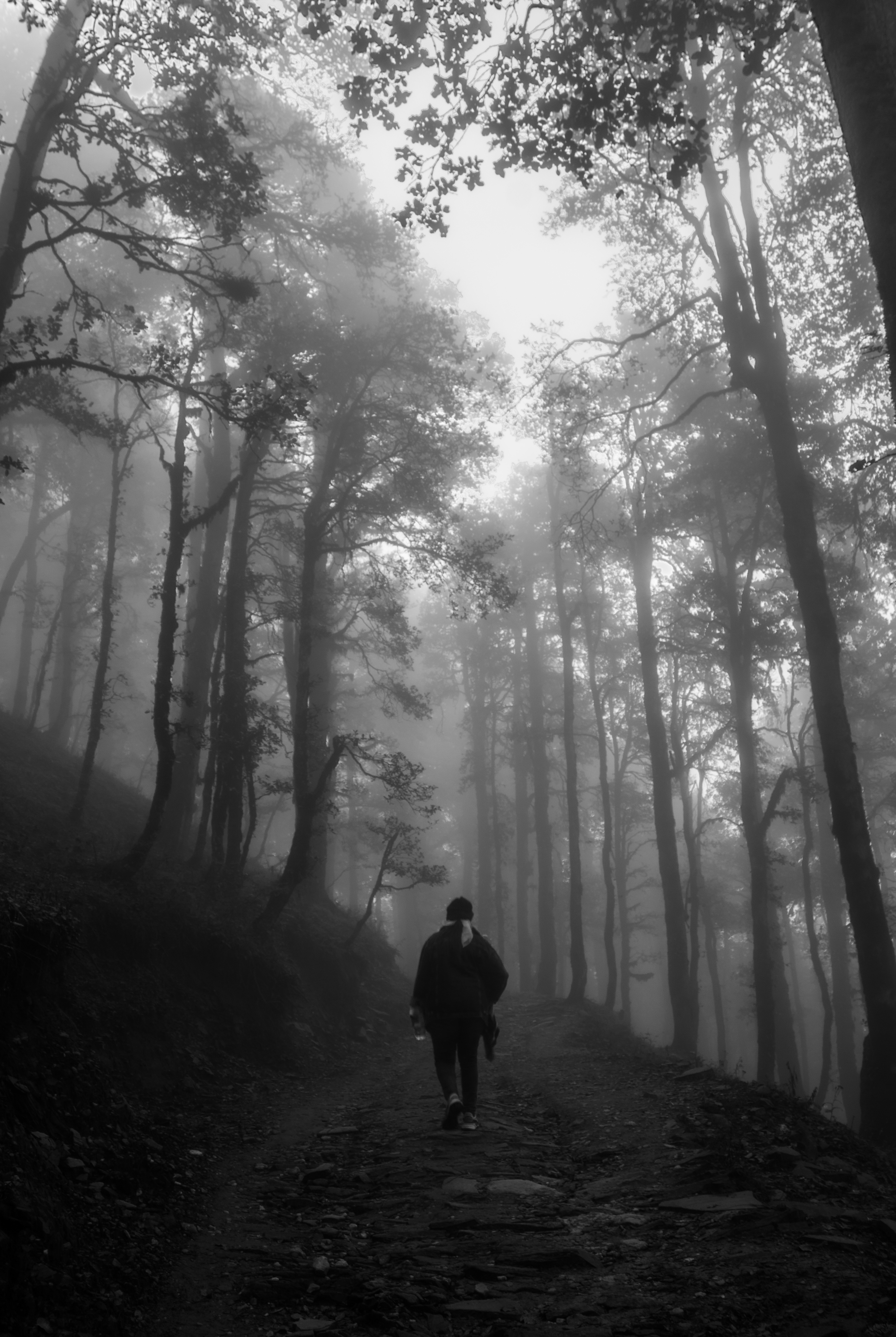 INTO THE UNKNOWN 