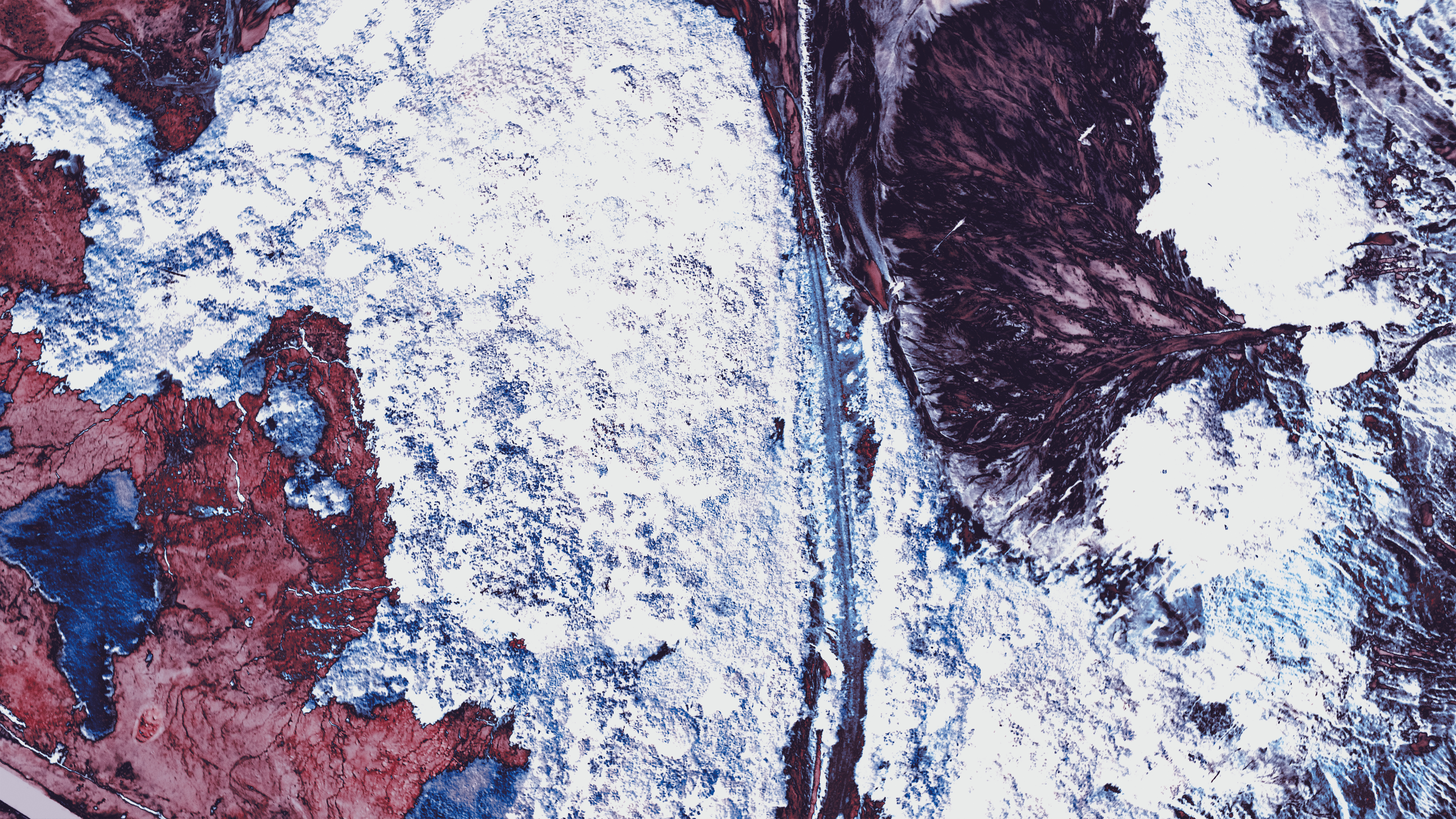 Bleeding Of The Earth : The Flesh - Body #06