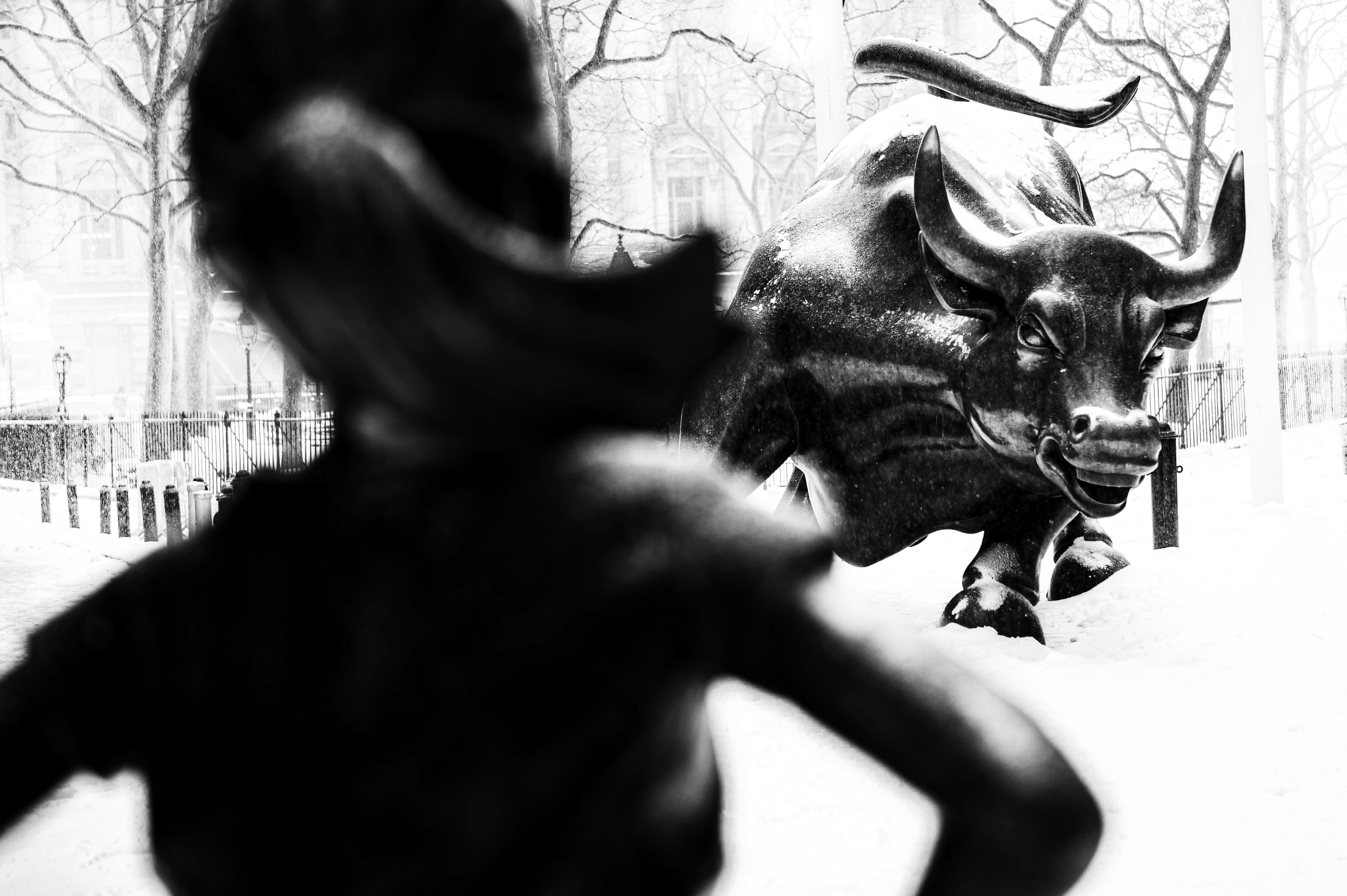 The Girl And Bull