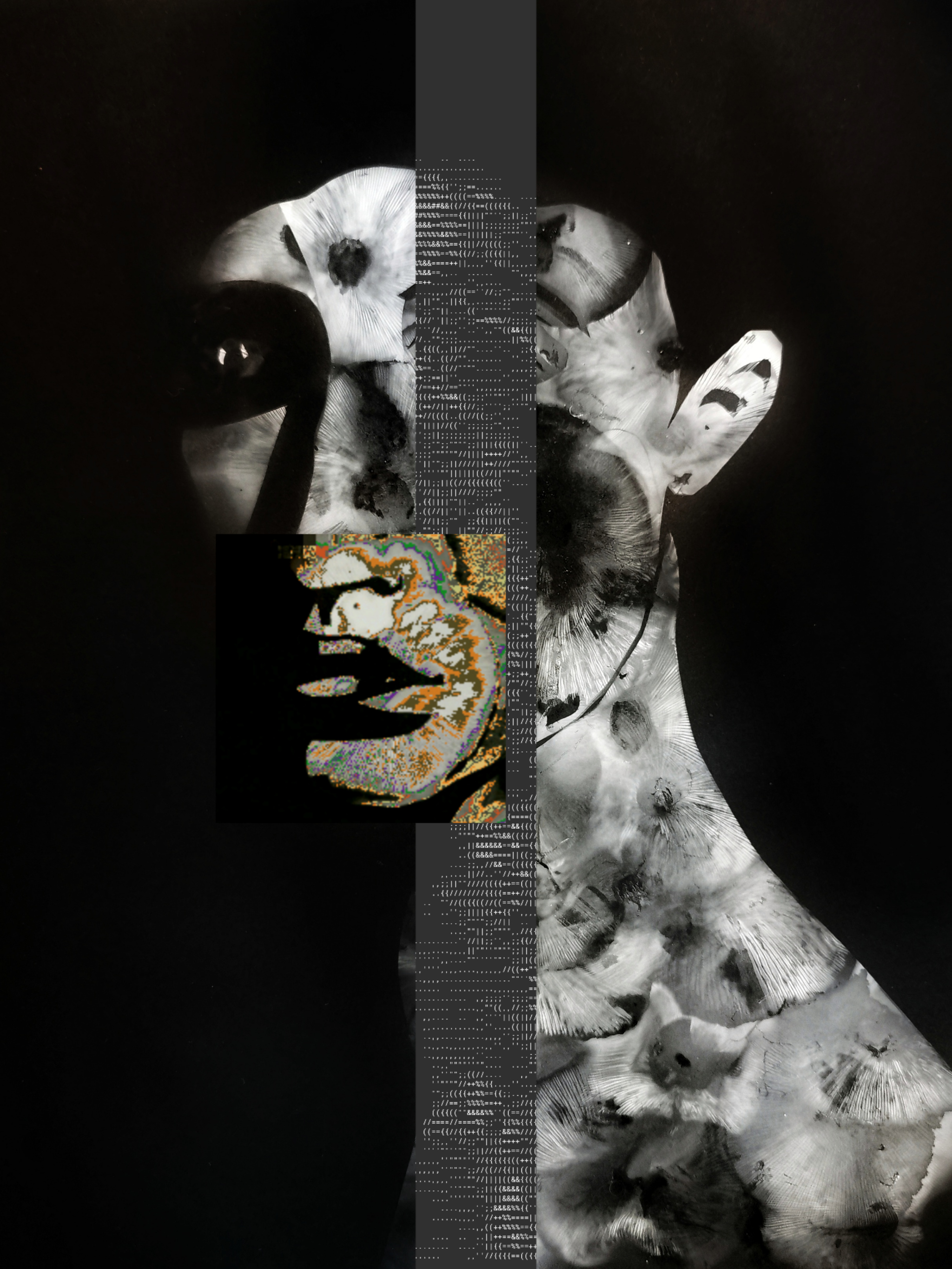 Chimera