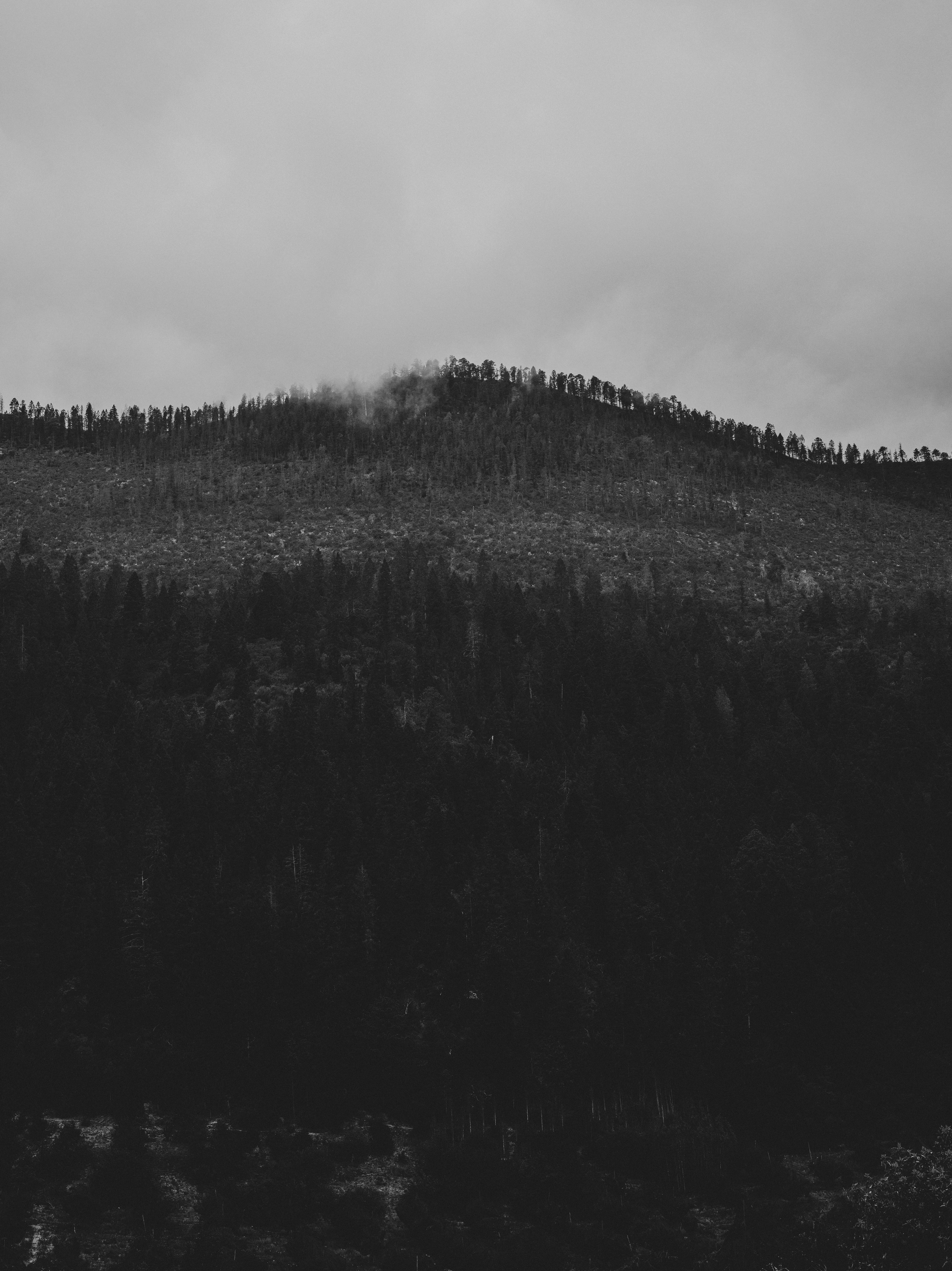 Beyond the Pines