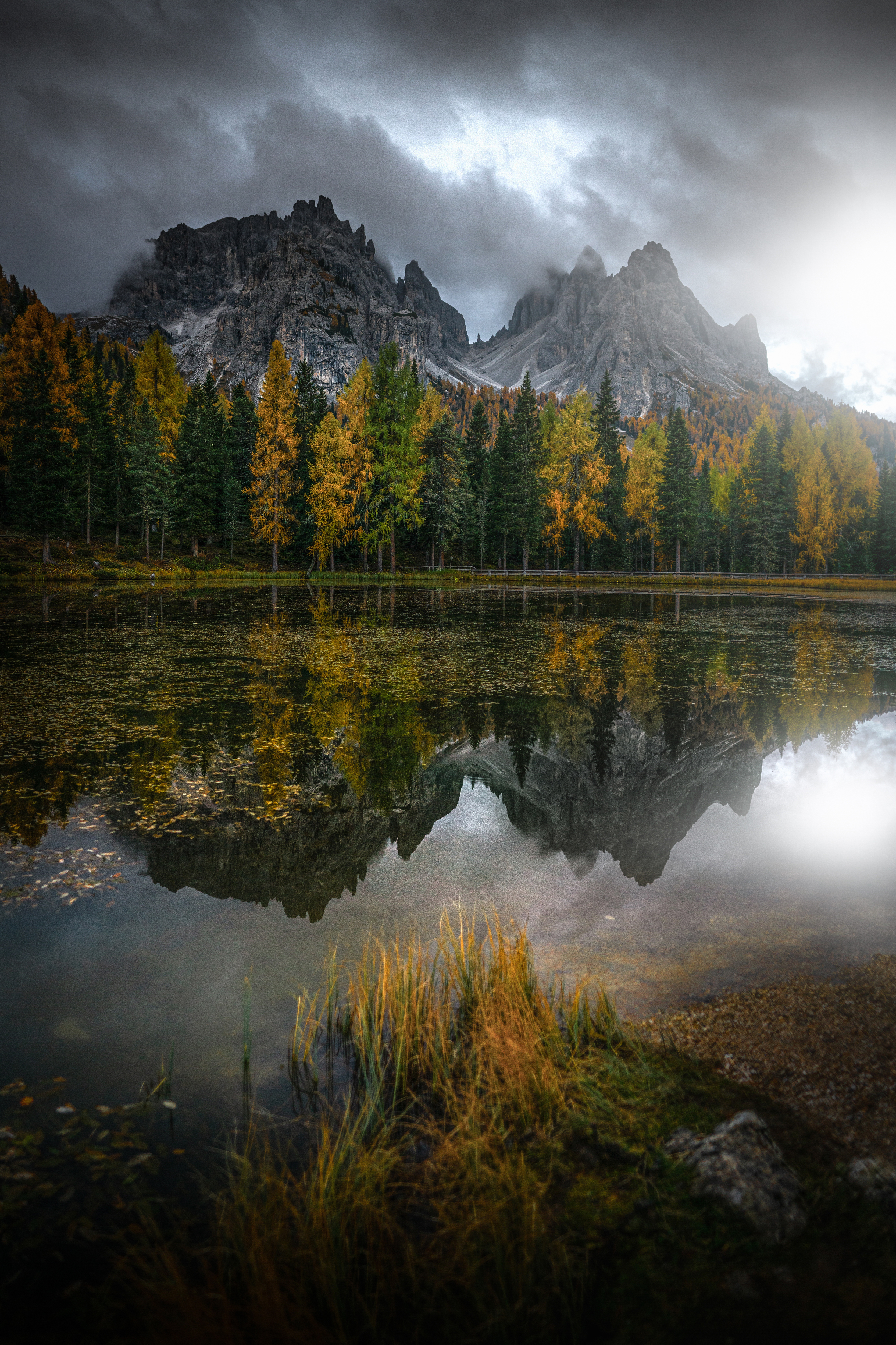 Alpine Lights - Mountain Goat #16