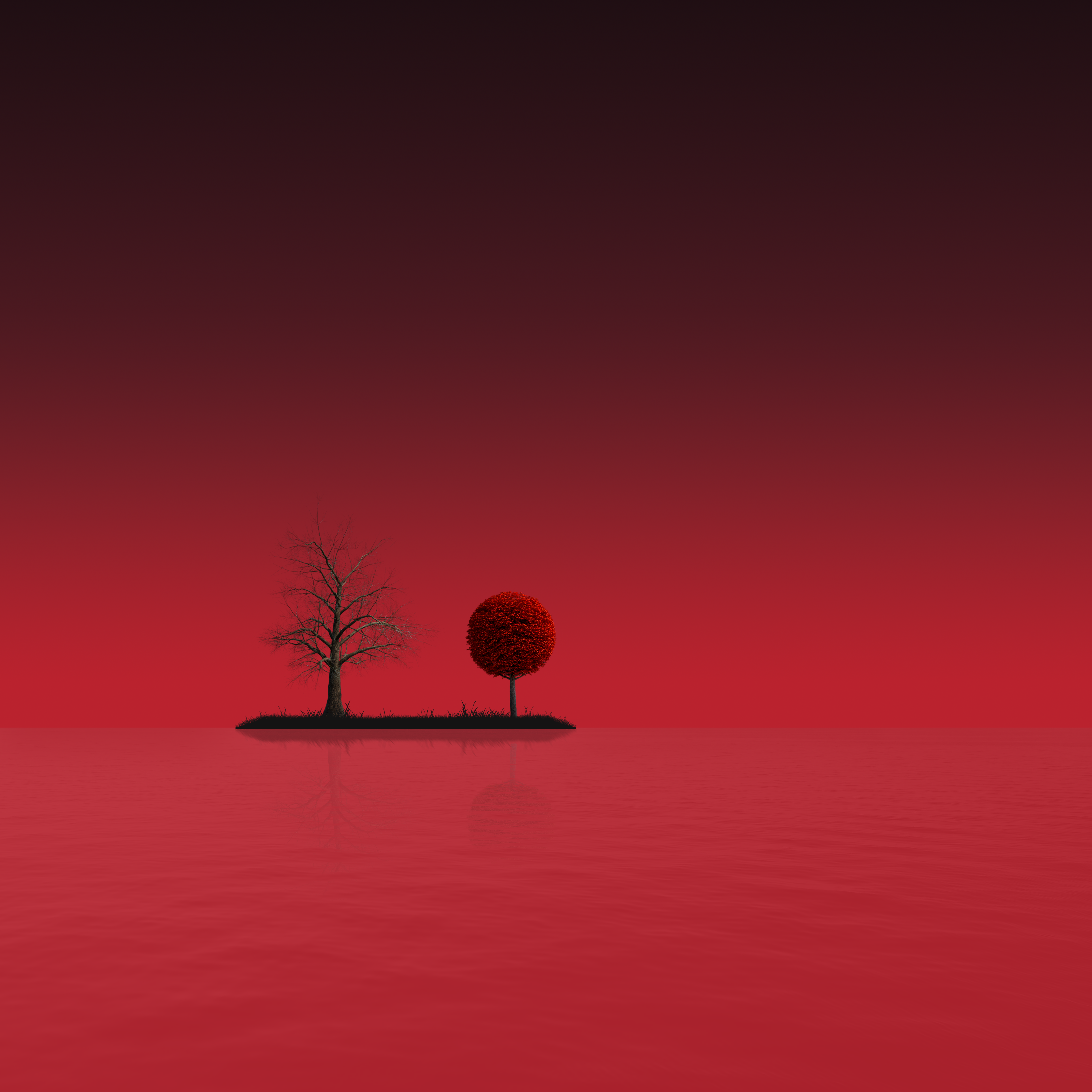 All Time High in the Lake