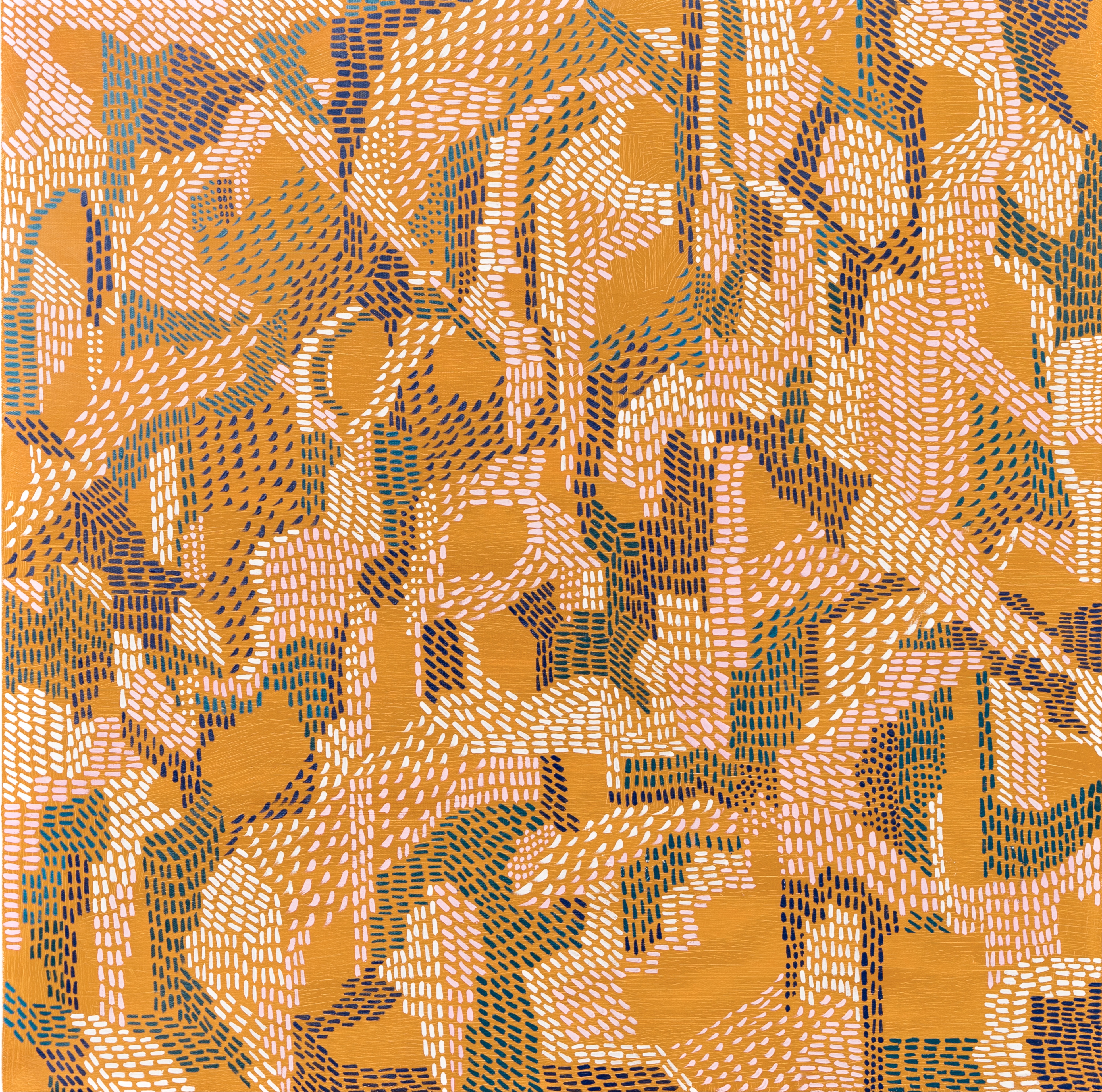 Walking in a Field of Orange Blossom 