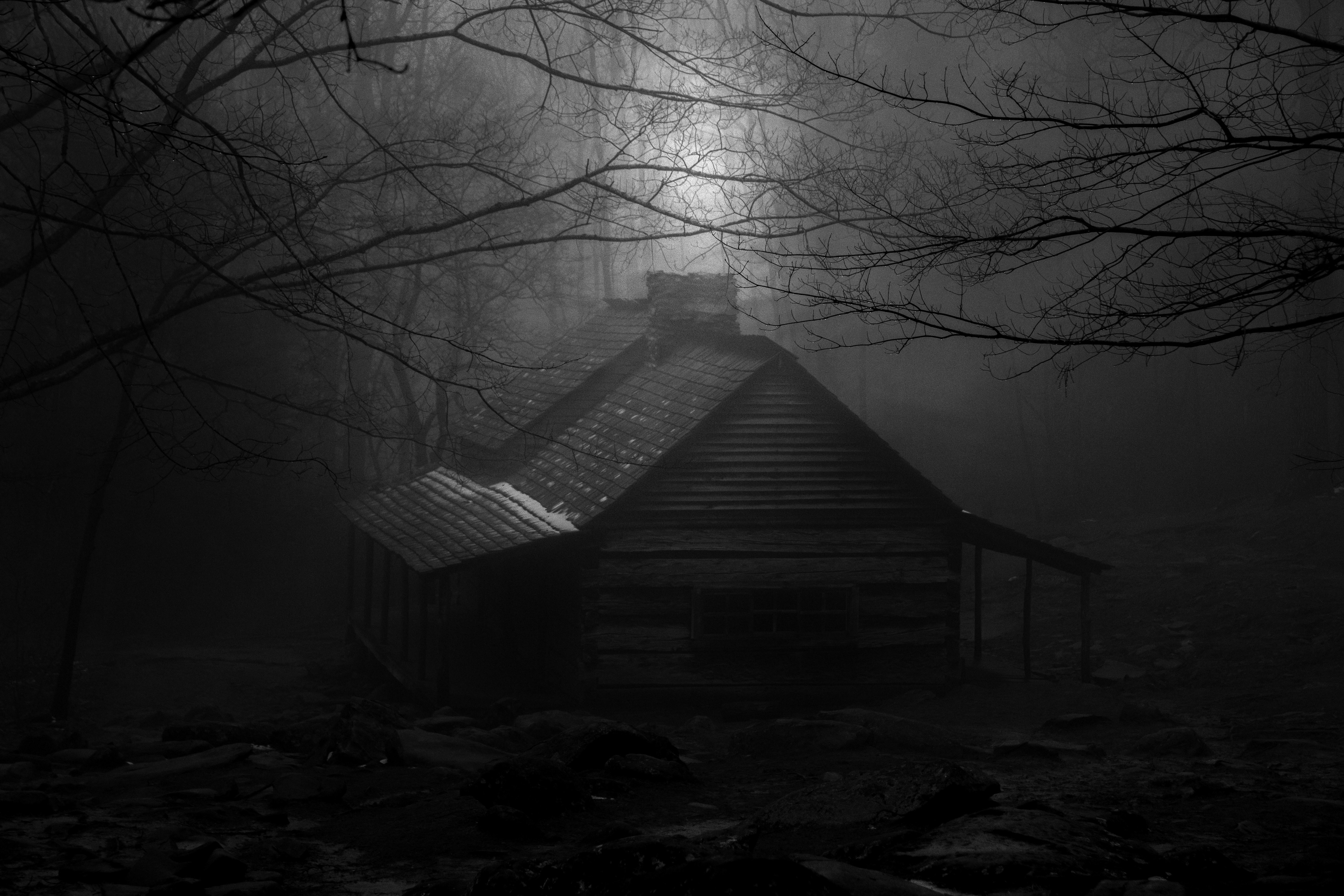 Cabin Of Sorrow: Awakening