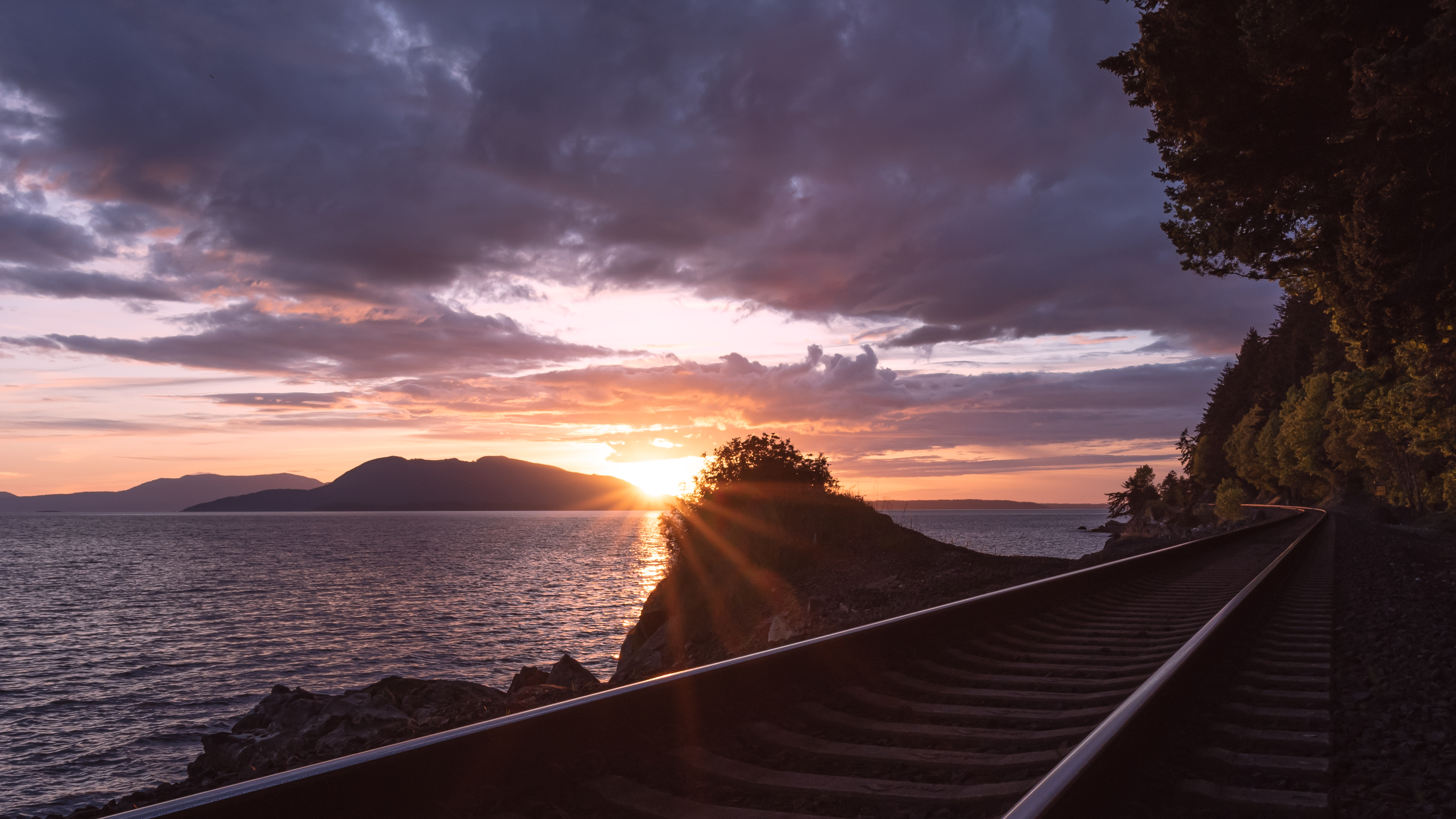 Chuckanut Drive Dreams #1