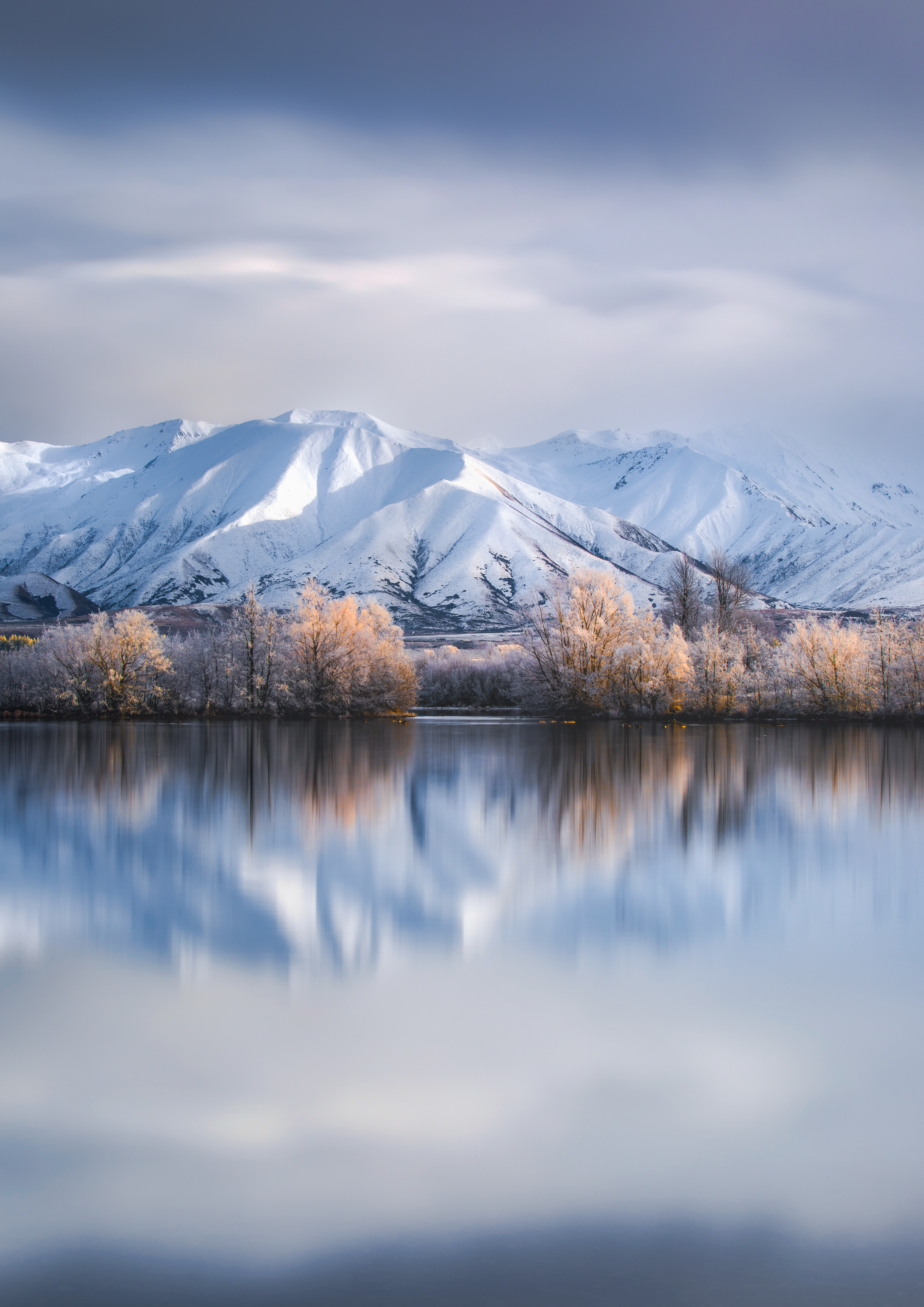 The Frost