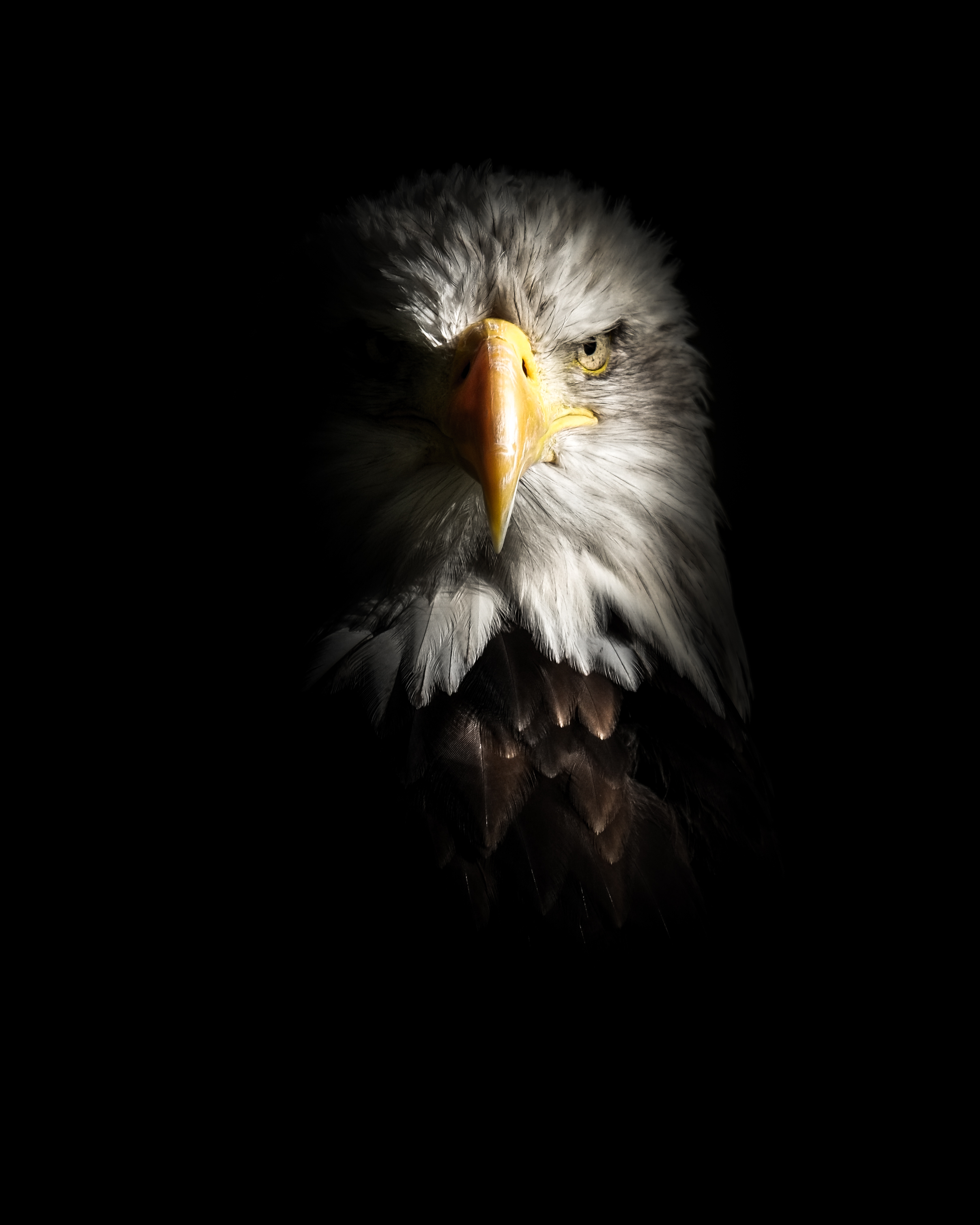 PATRIOT