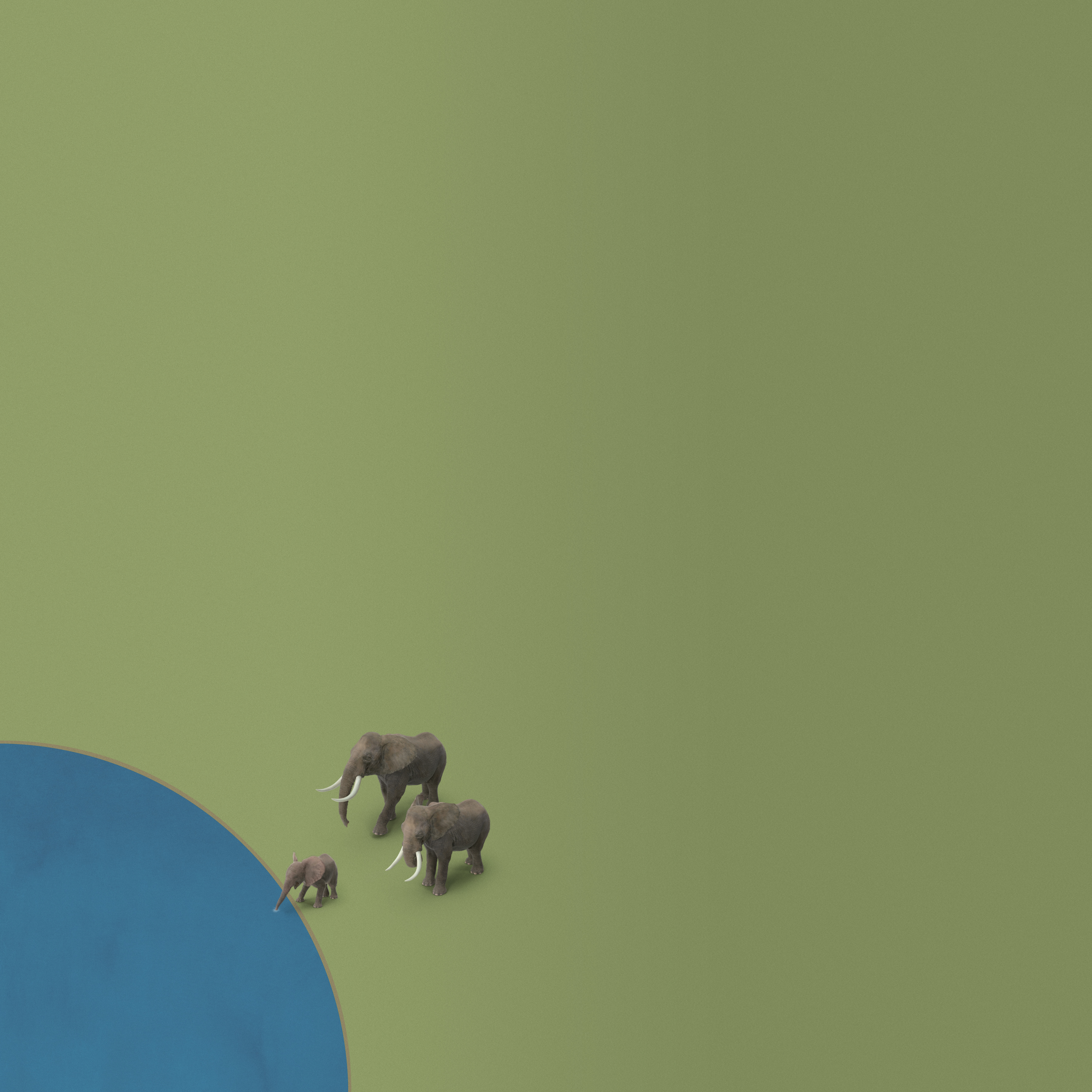 Great Time at the Lake