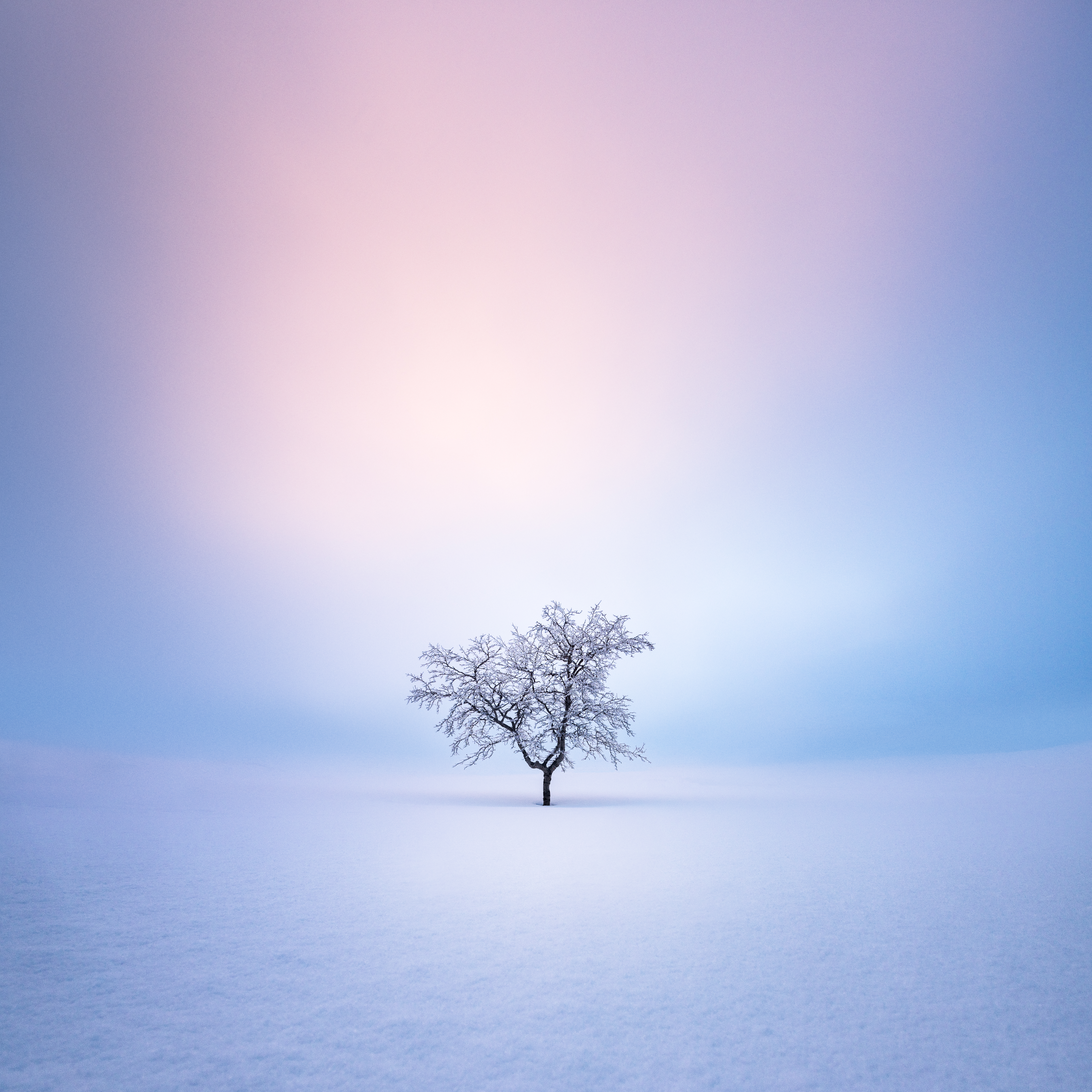 Solitude