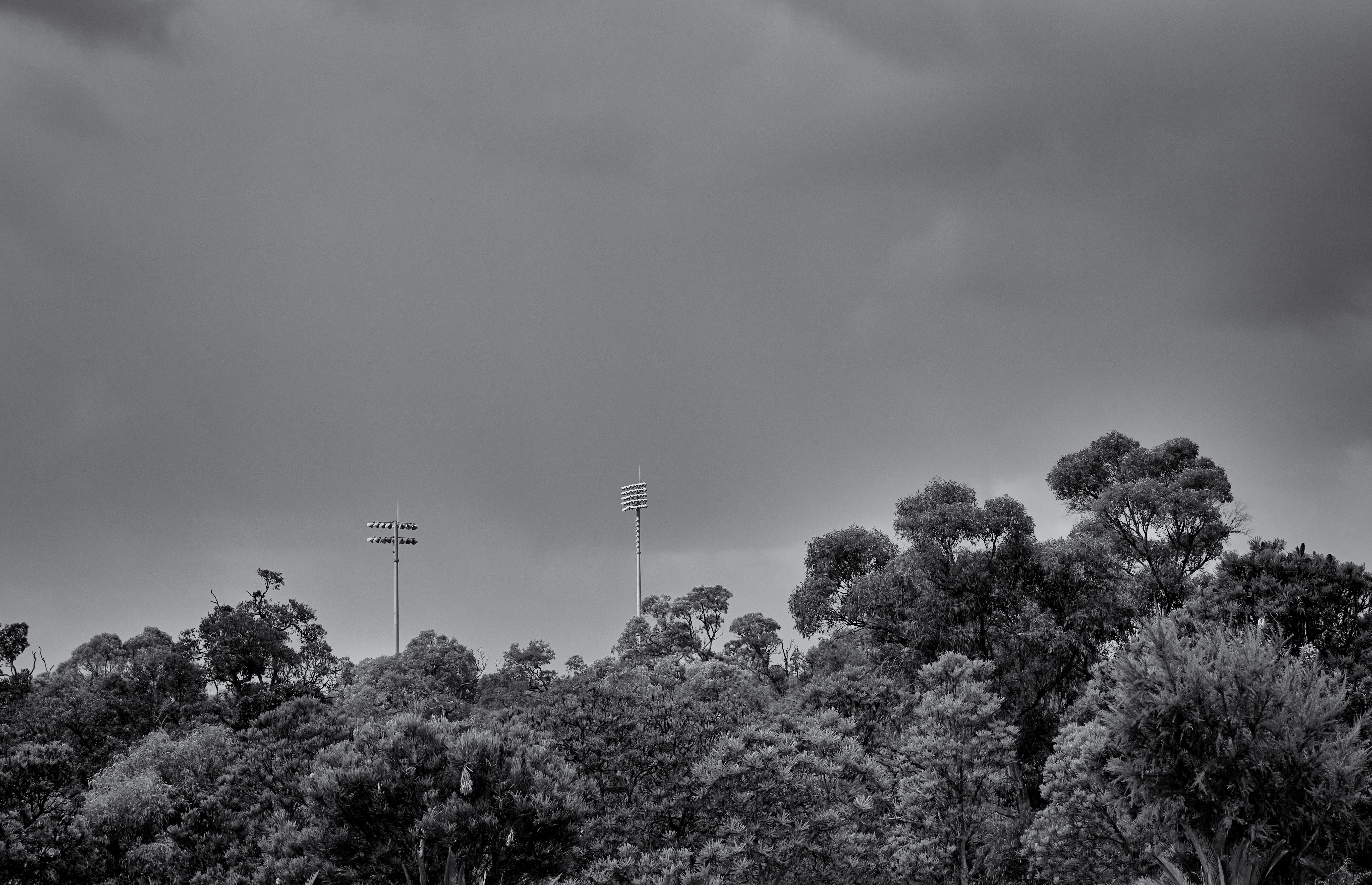 Cultural Narcissism // Scar Tissue