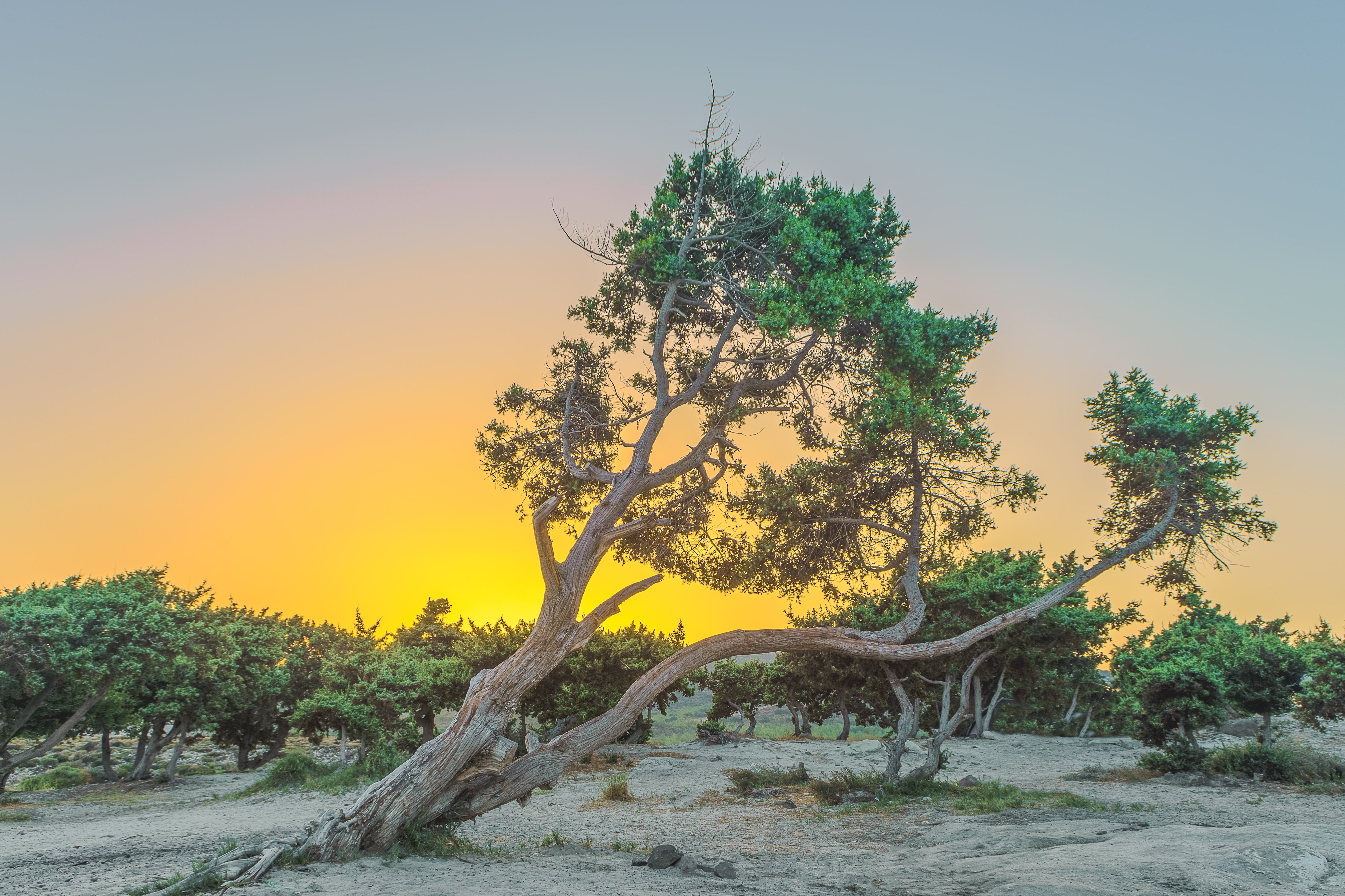 Reaching out to the Light