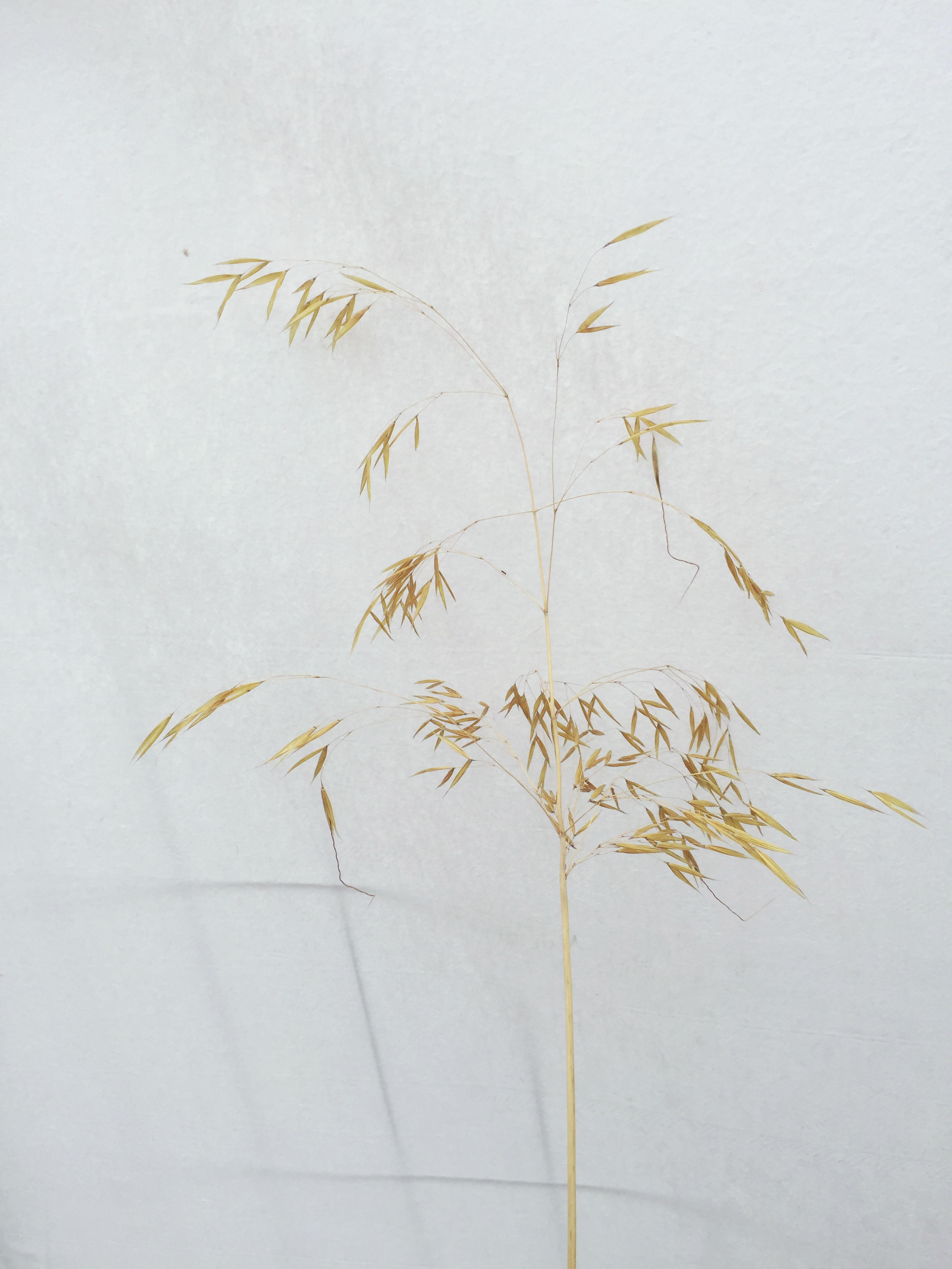 Reflections (Special edition)