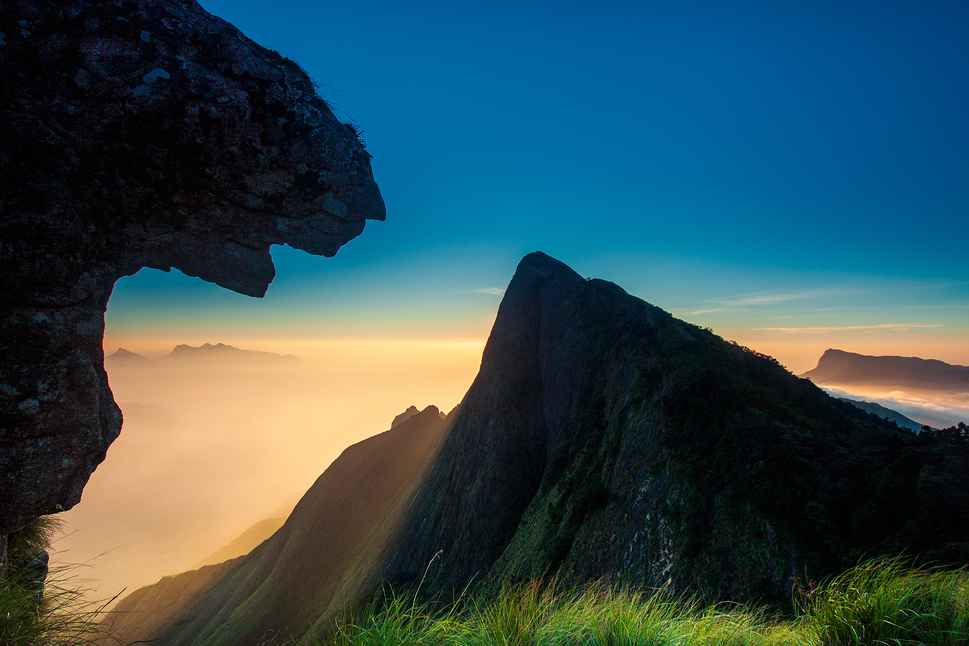 Kiss of the wild leopard!