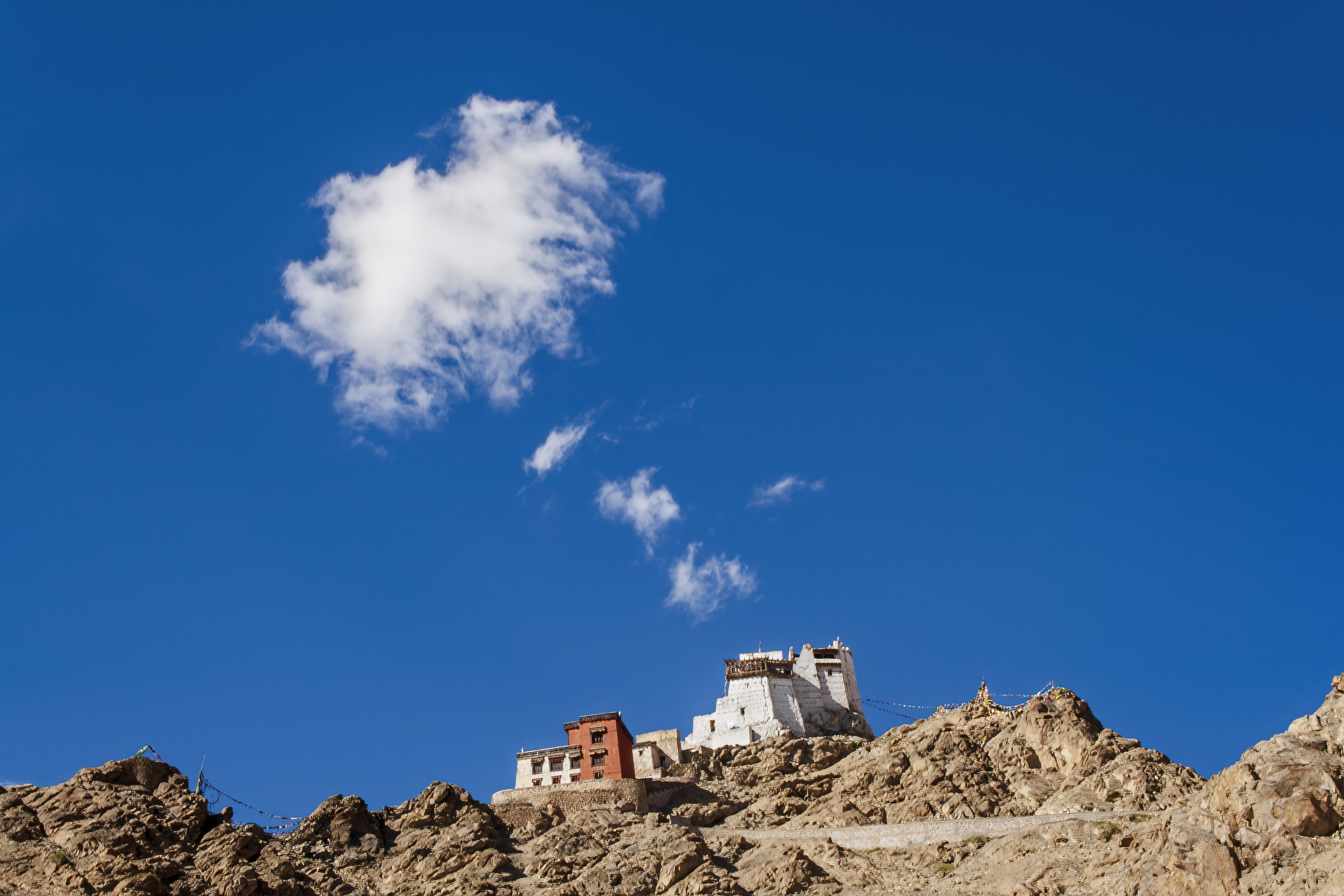 Nature’s Smoke Signal