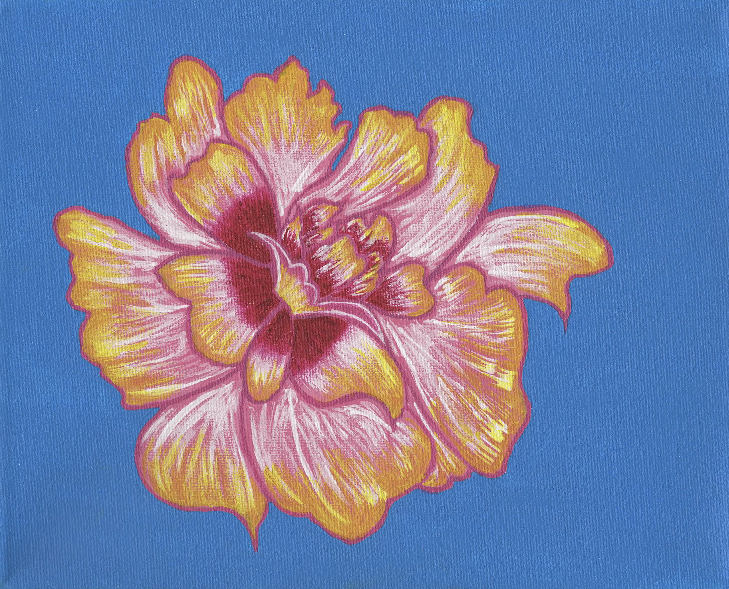 My Pockets Of Sunshine