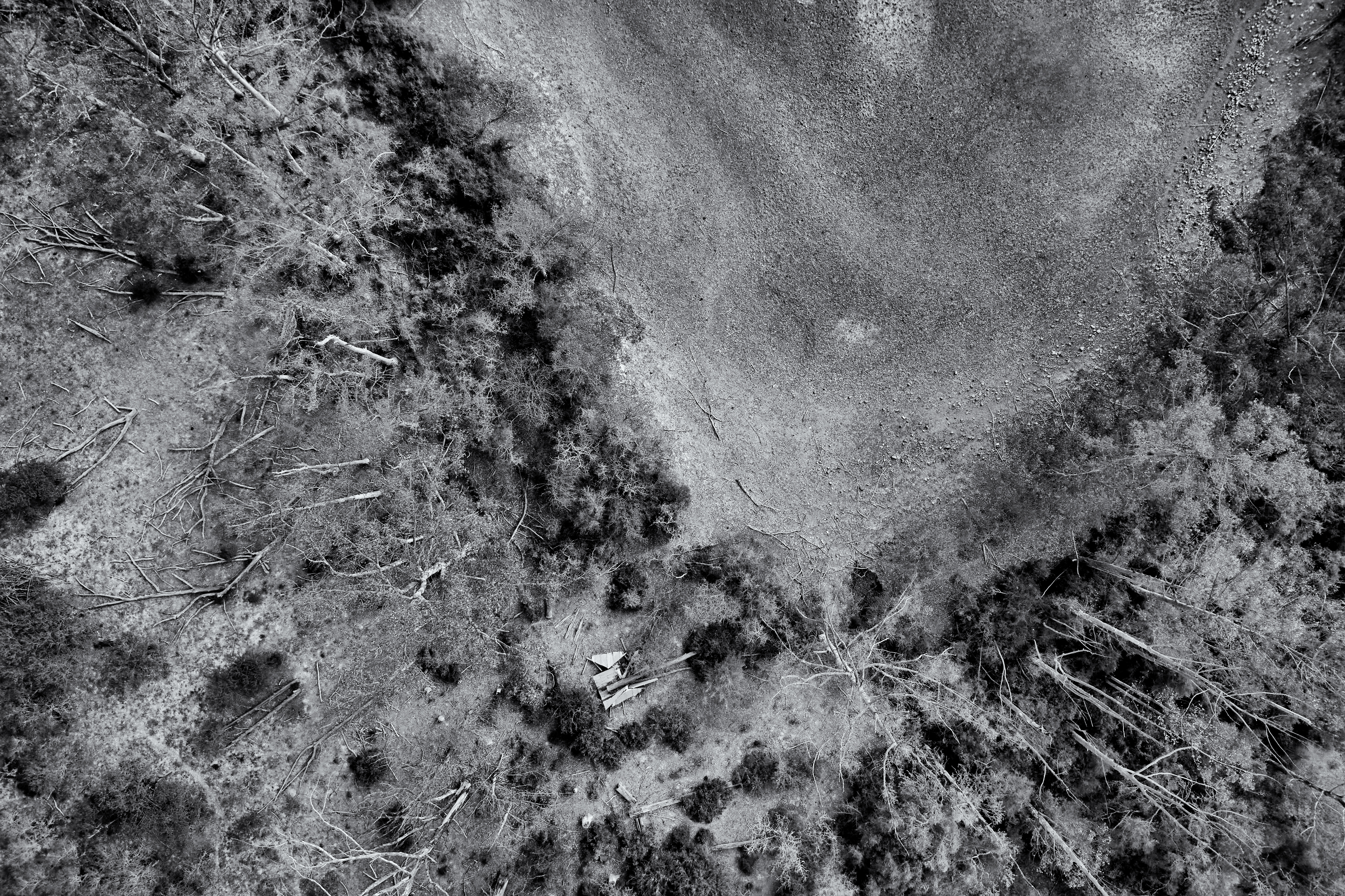 Depletion Realities // Scar Tissue