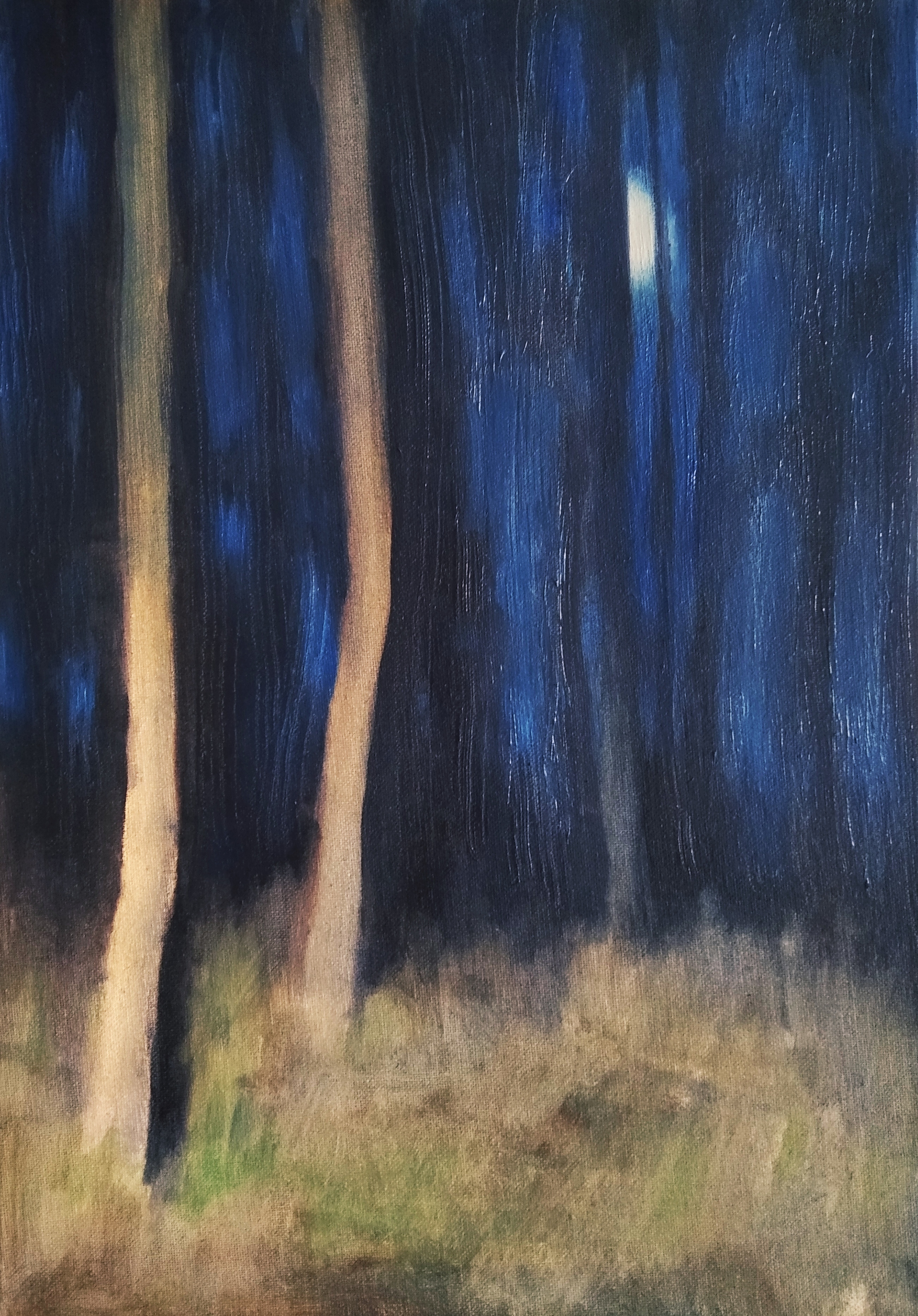 The moon was our witness