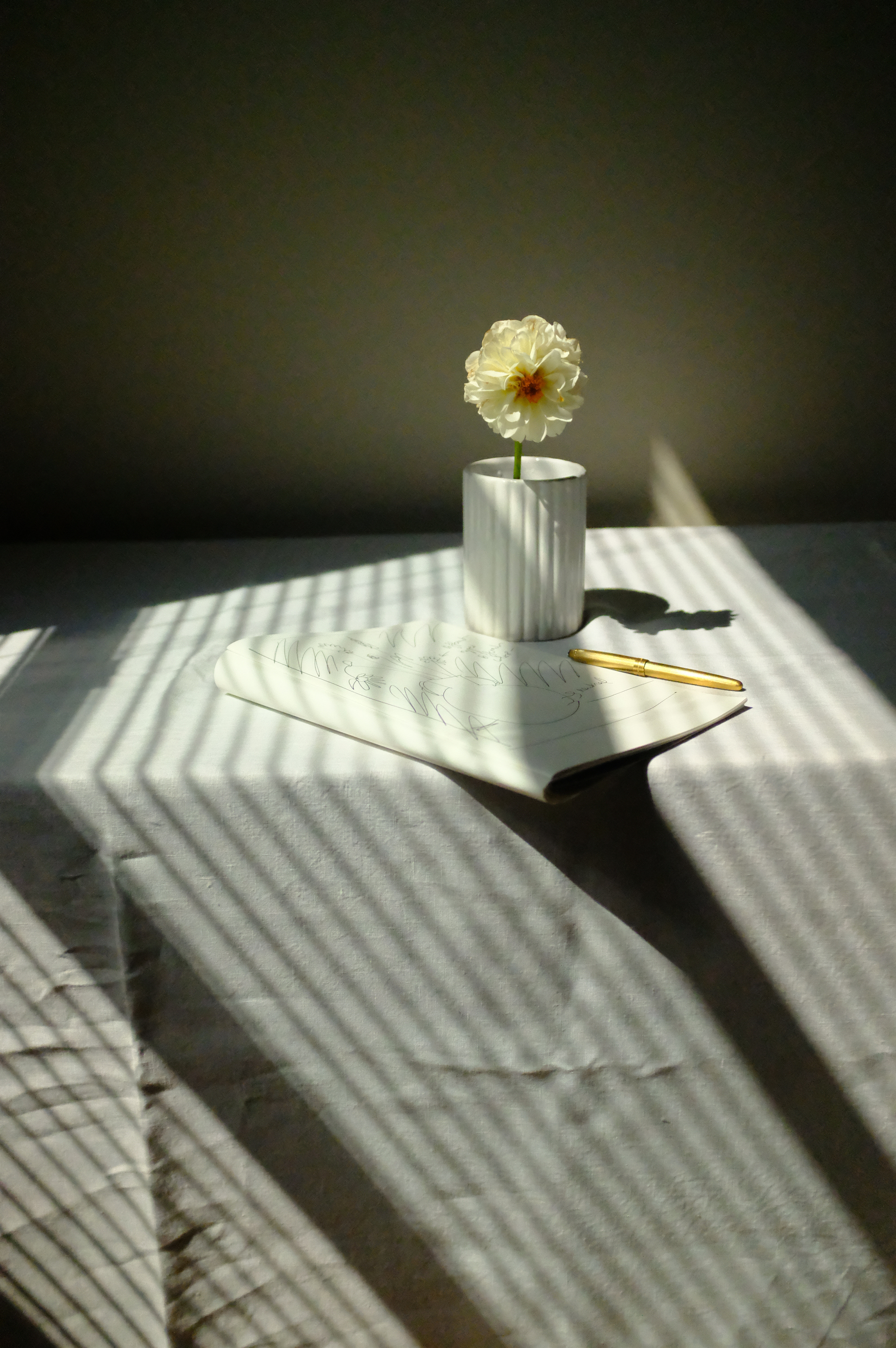 Still Life #7