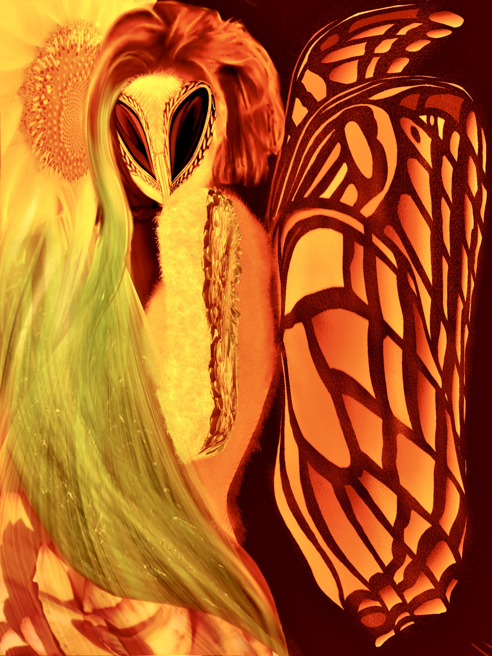 Lovely Metamorphosis