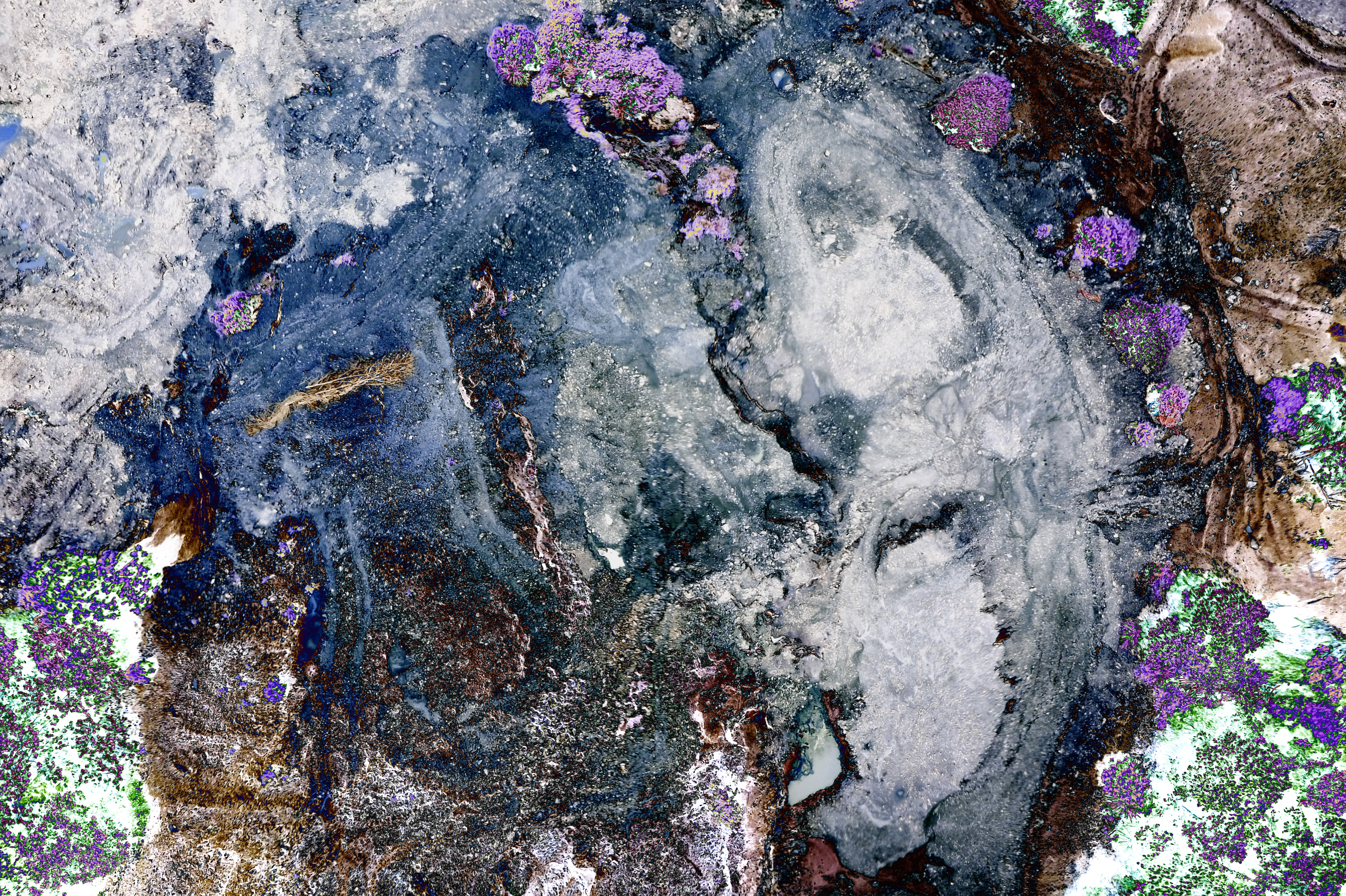 Bleeding Of The Earth : The Skull - Body #03