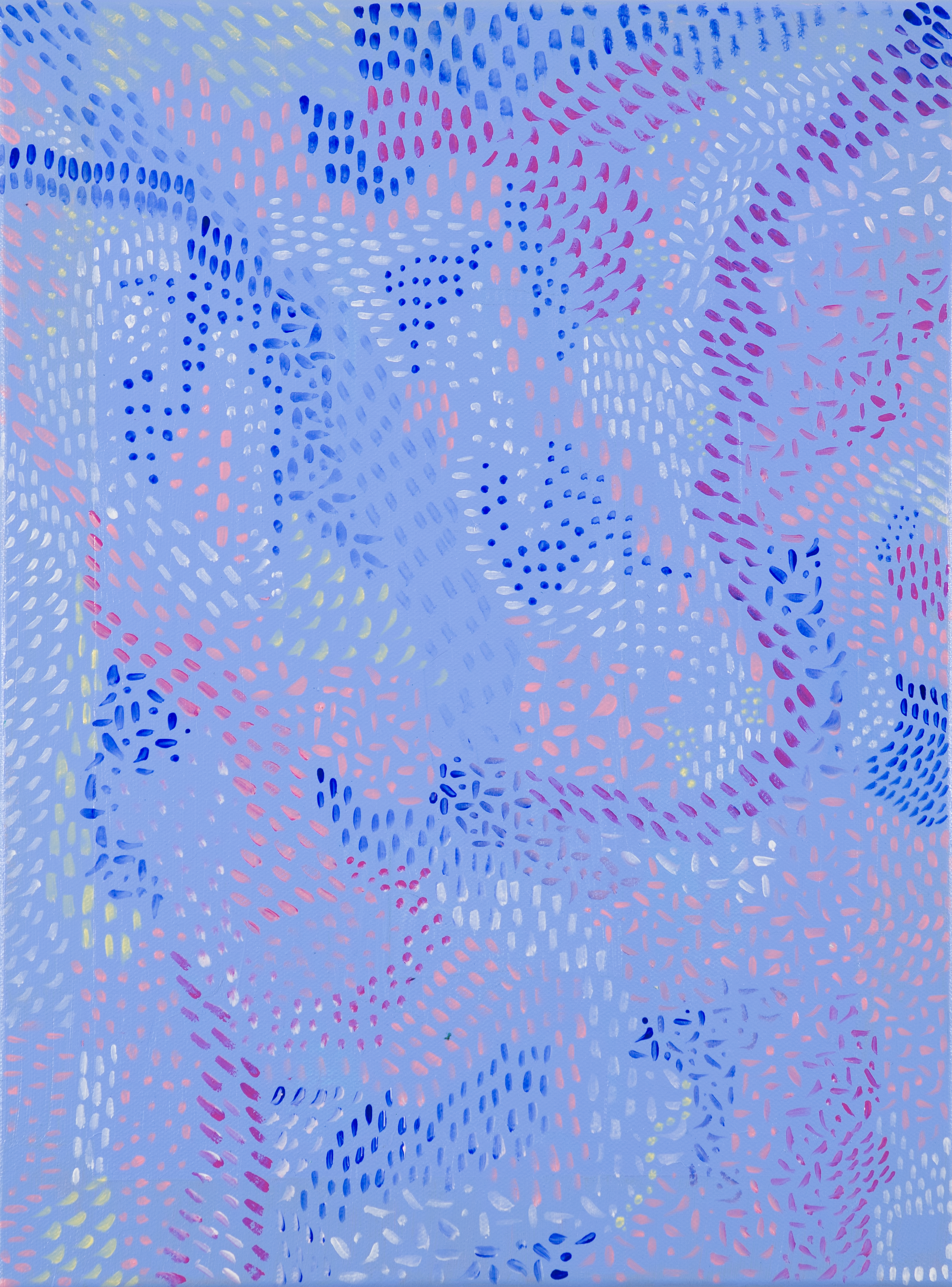 Walking in Lavender Gardens