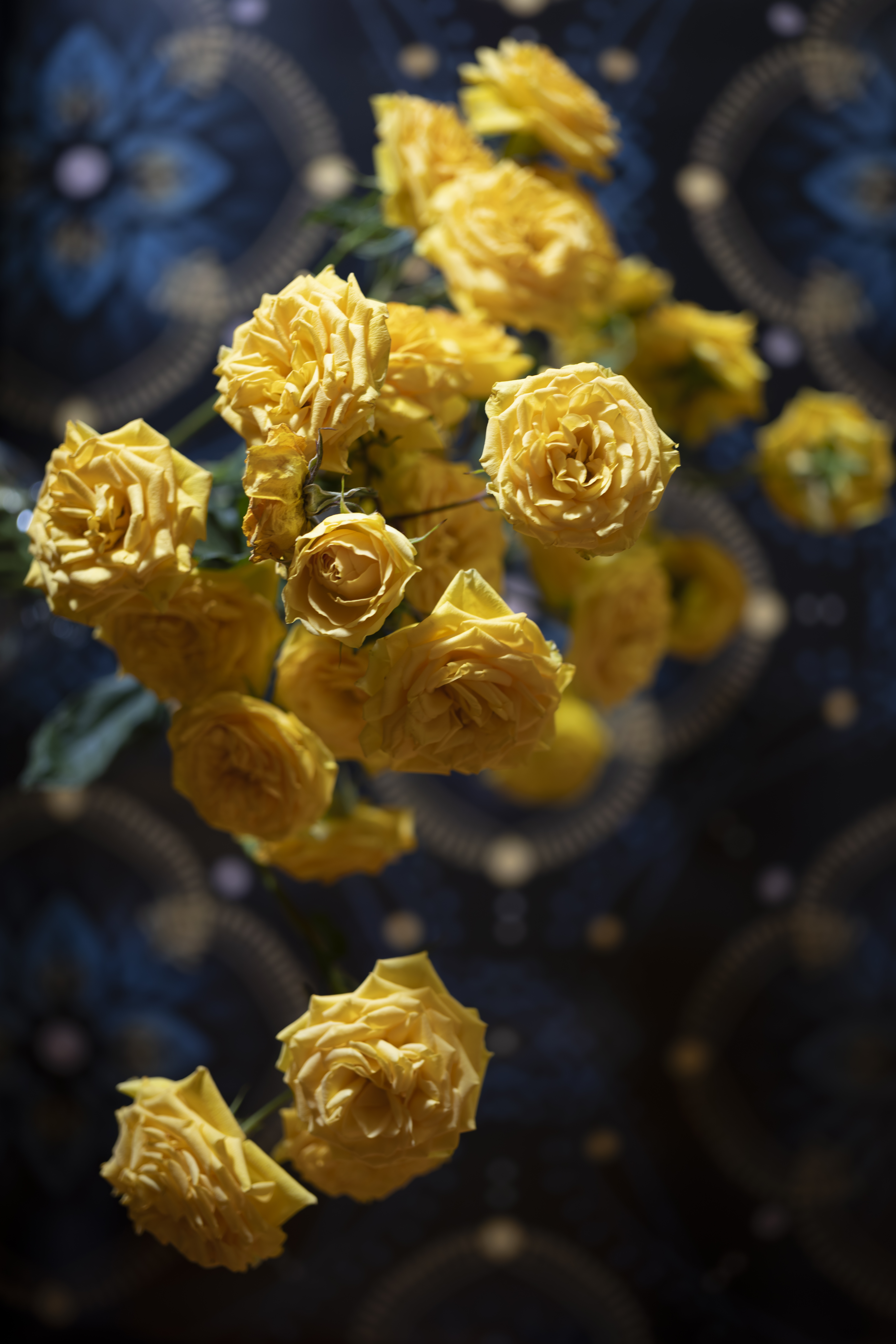 Atelier.9 - Roses for Ukraine