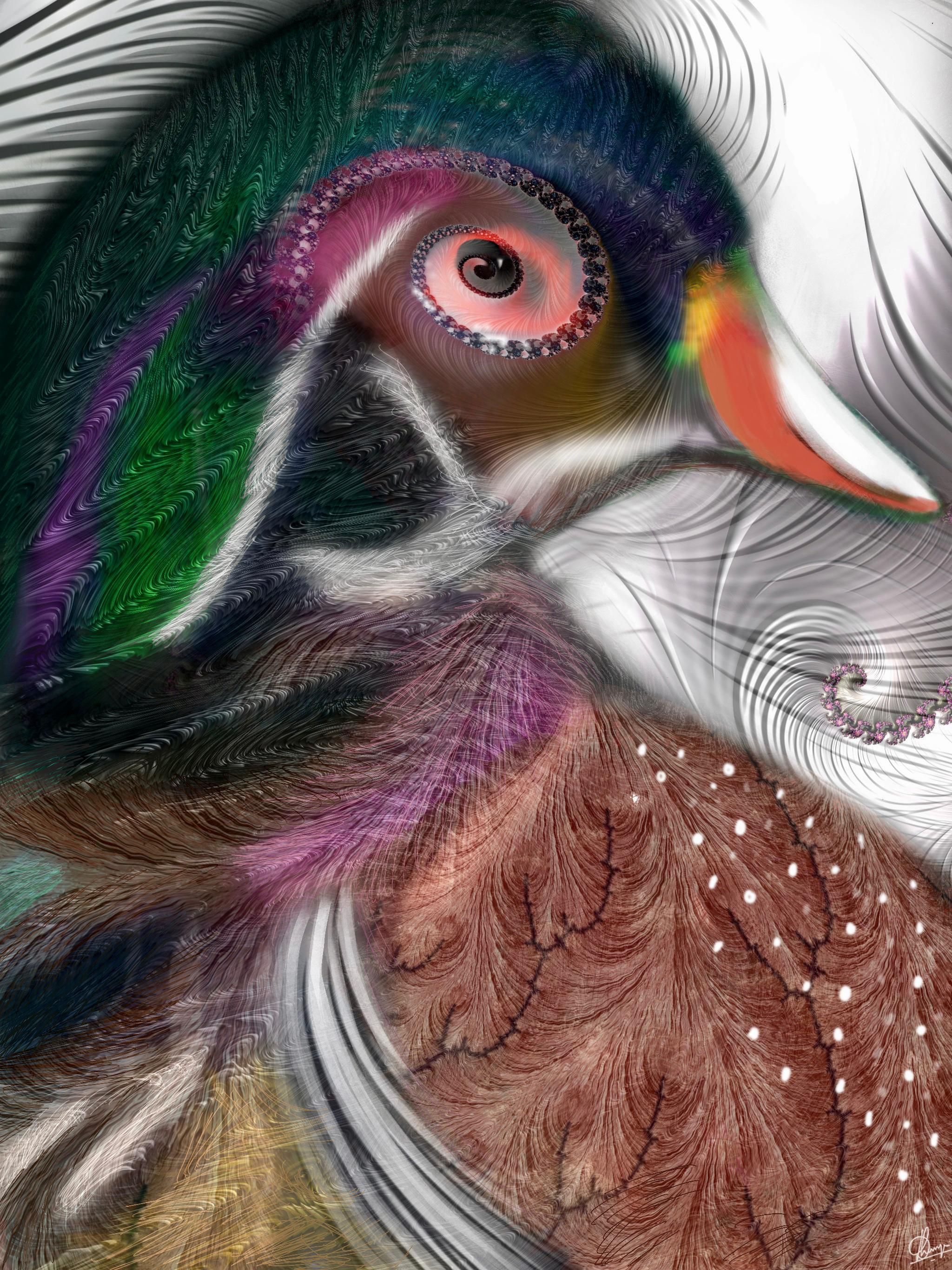 Fractal Art Series- Birds #5 Splendid Wood Duck
