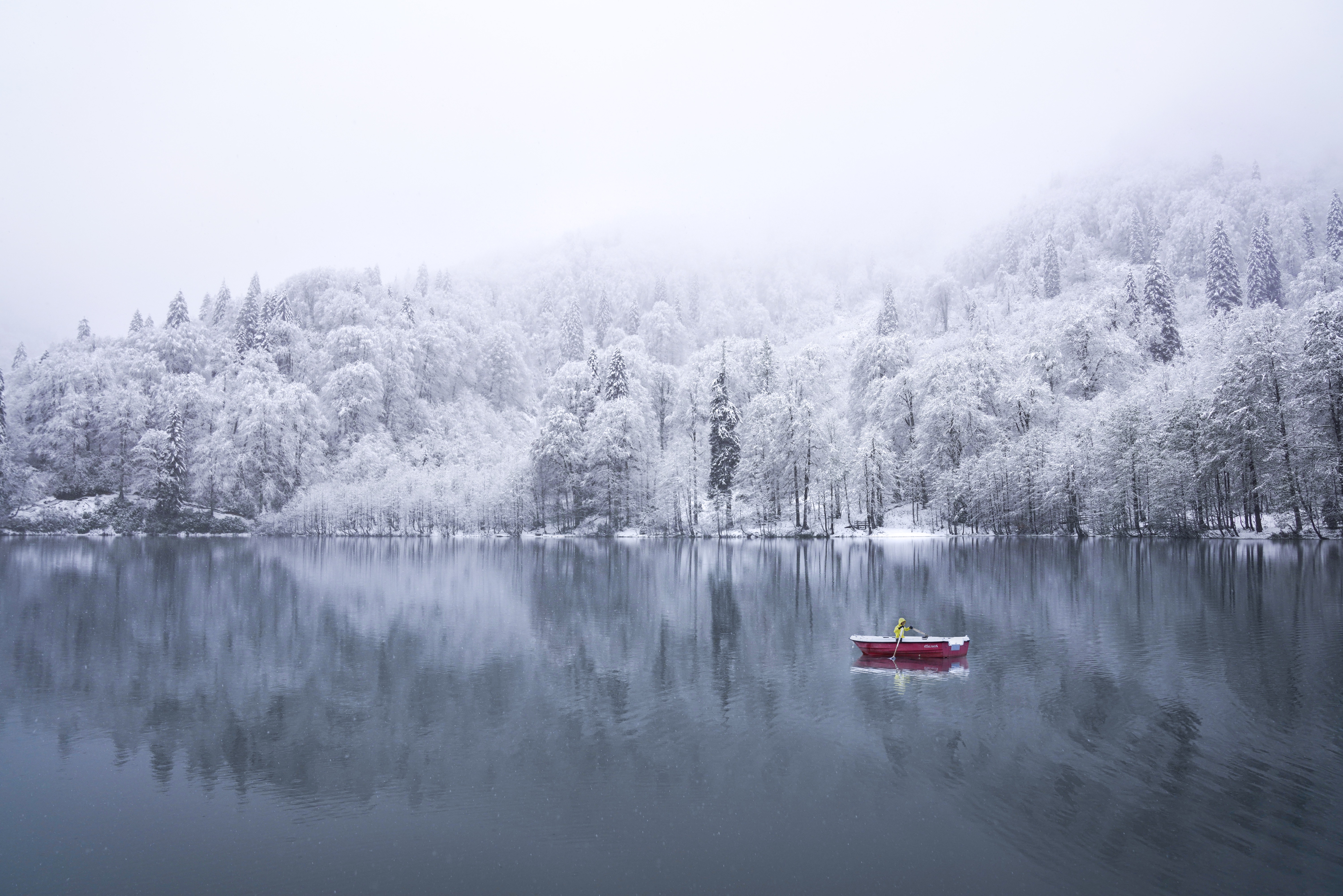 FAIRY LAND