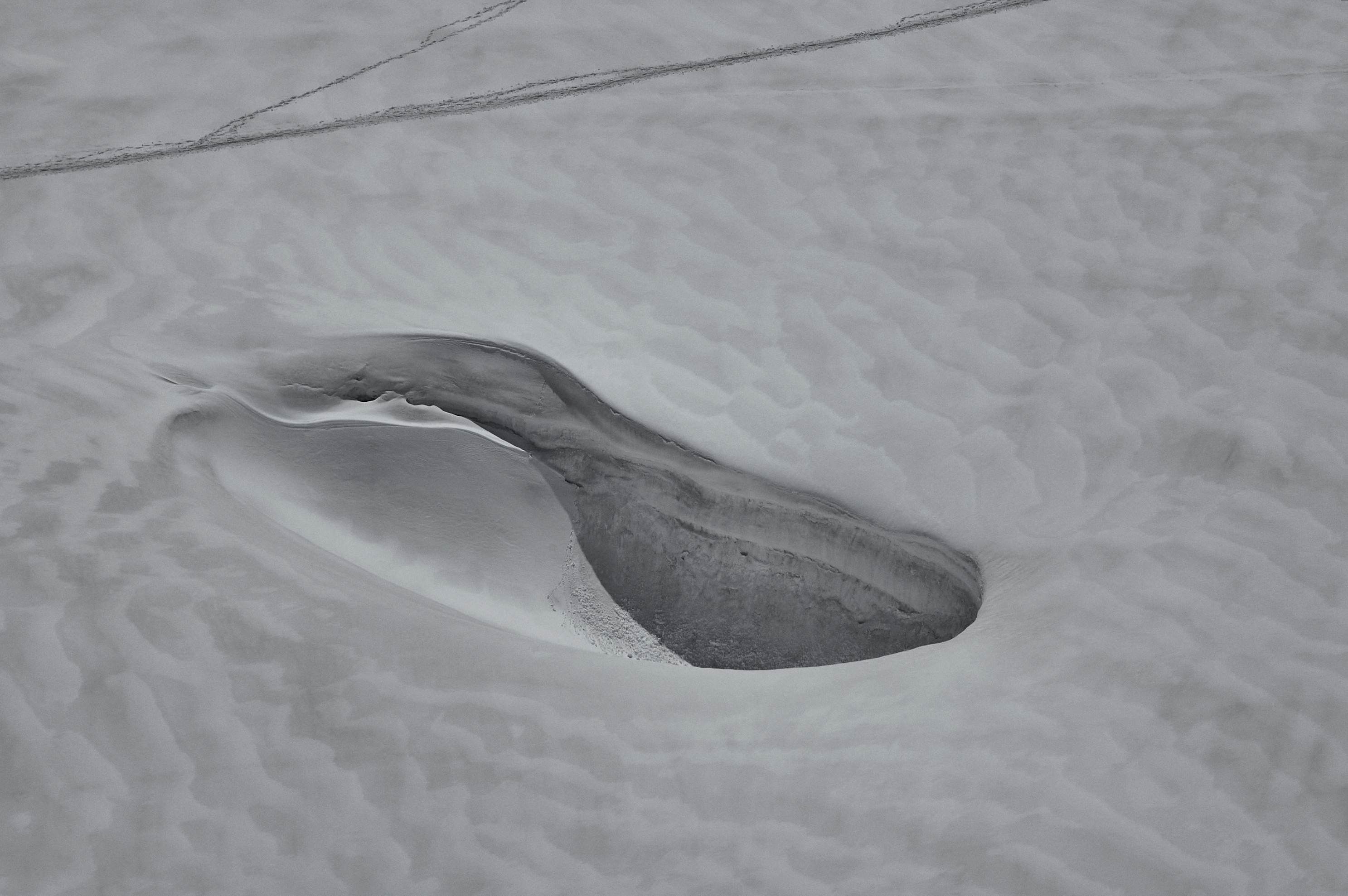 Discovery Economics // Scar Tissue