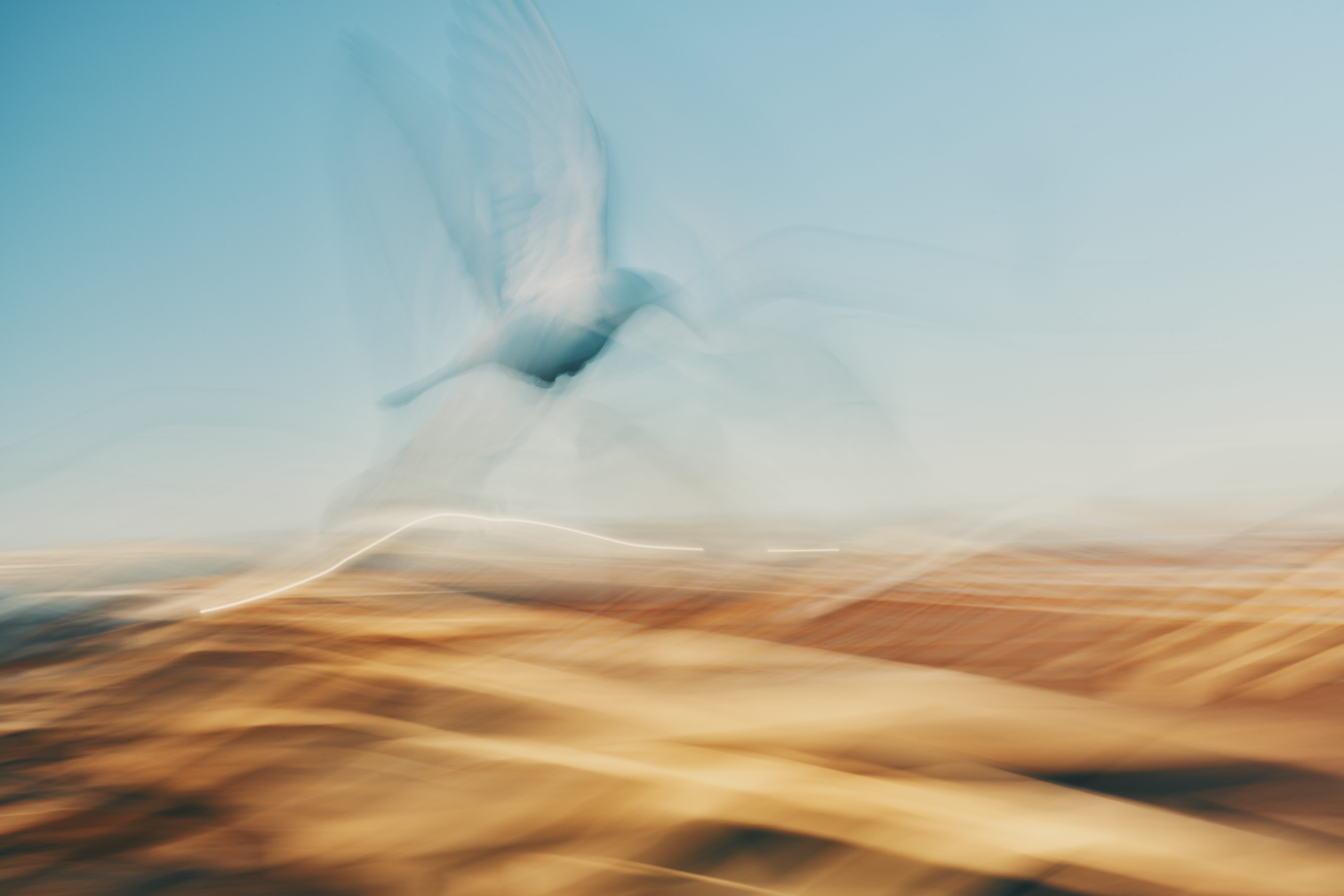 Painting With Flight