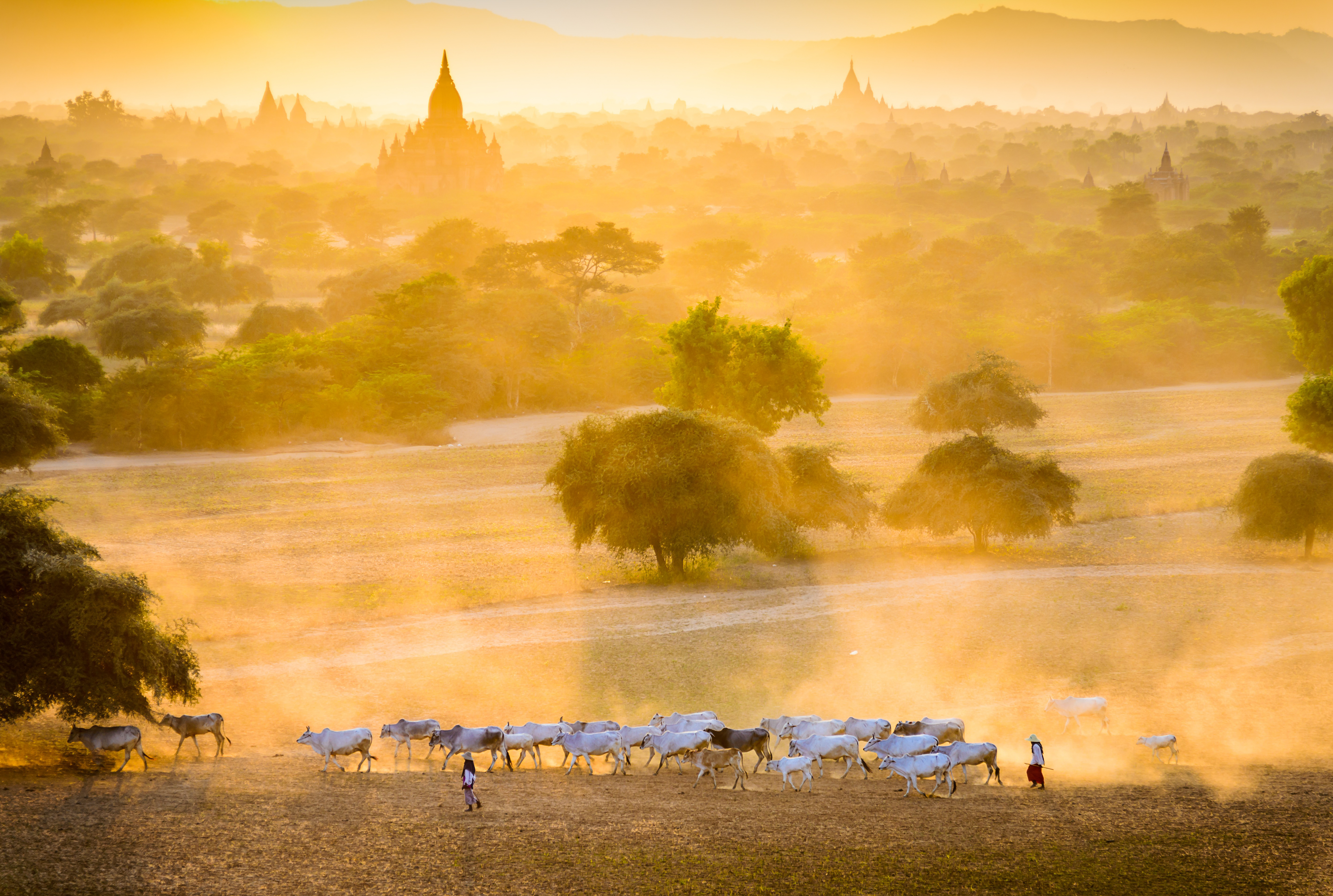 Dusty Bagan