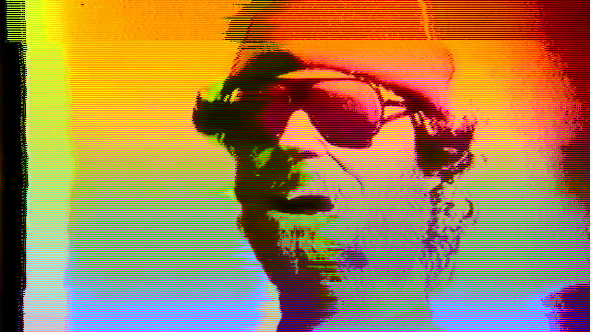 MAX CAPACITY - NEW LIFE