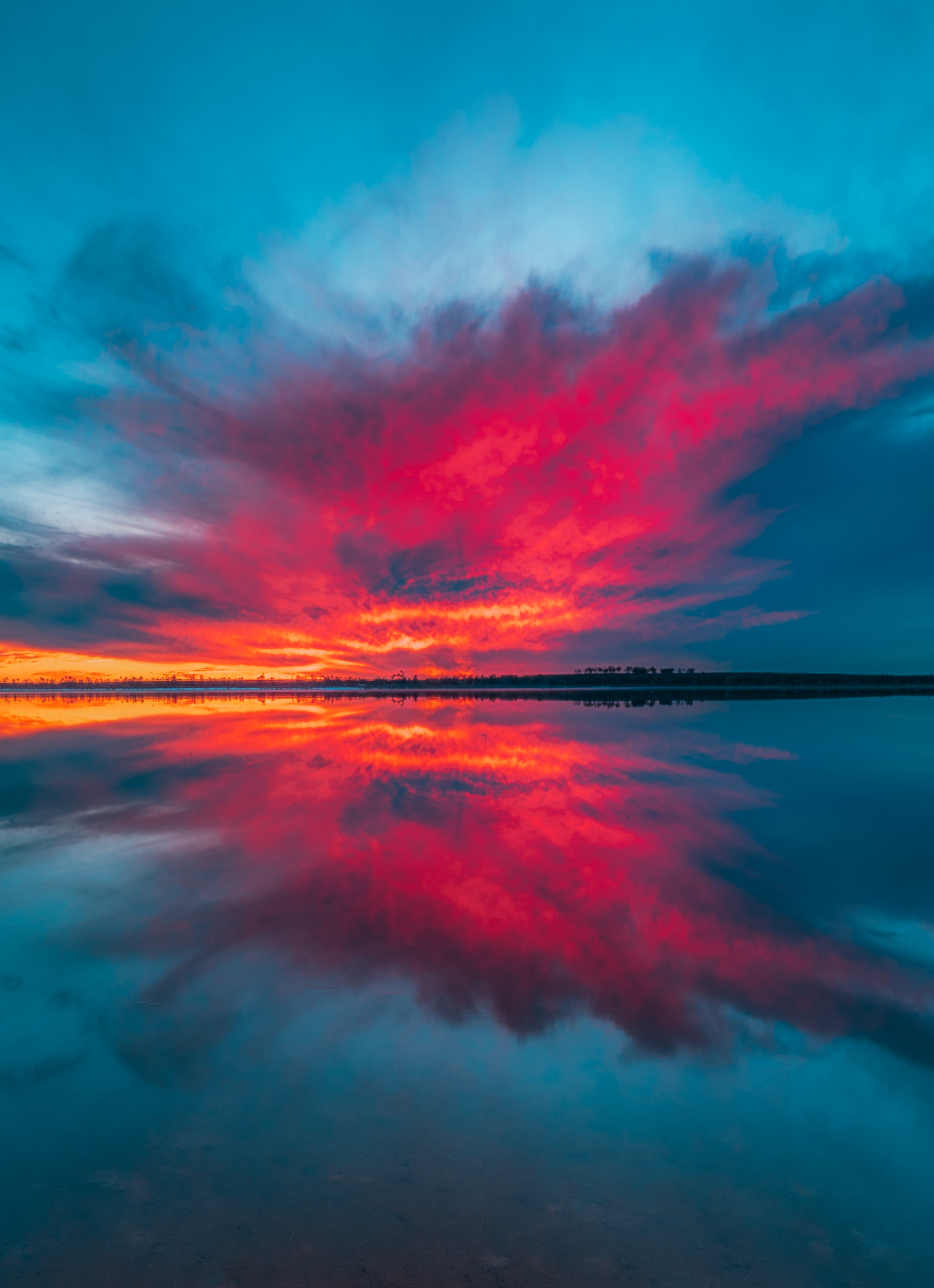 The Butterfly Effect