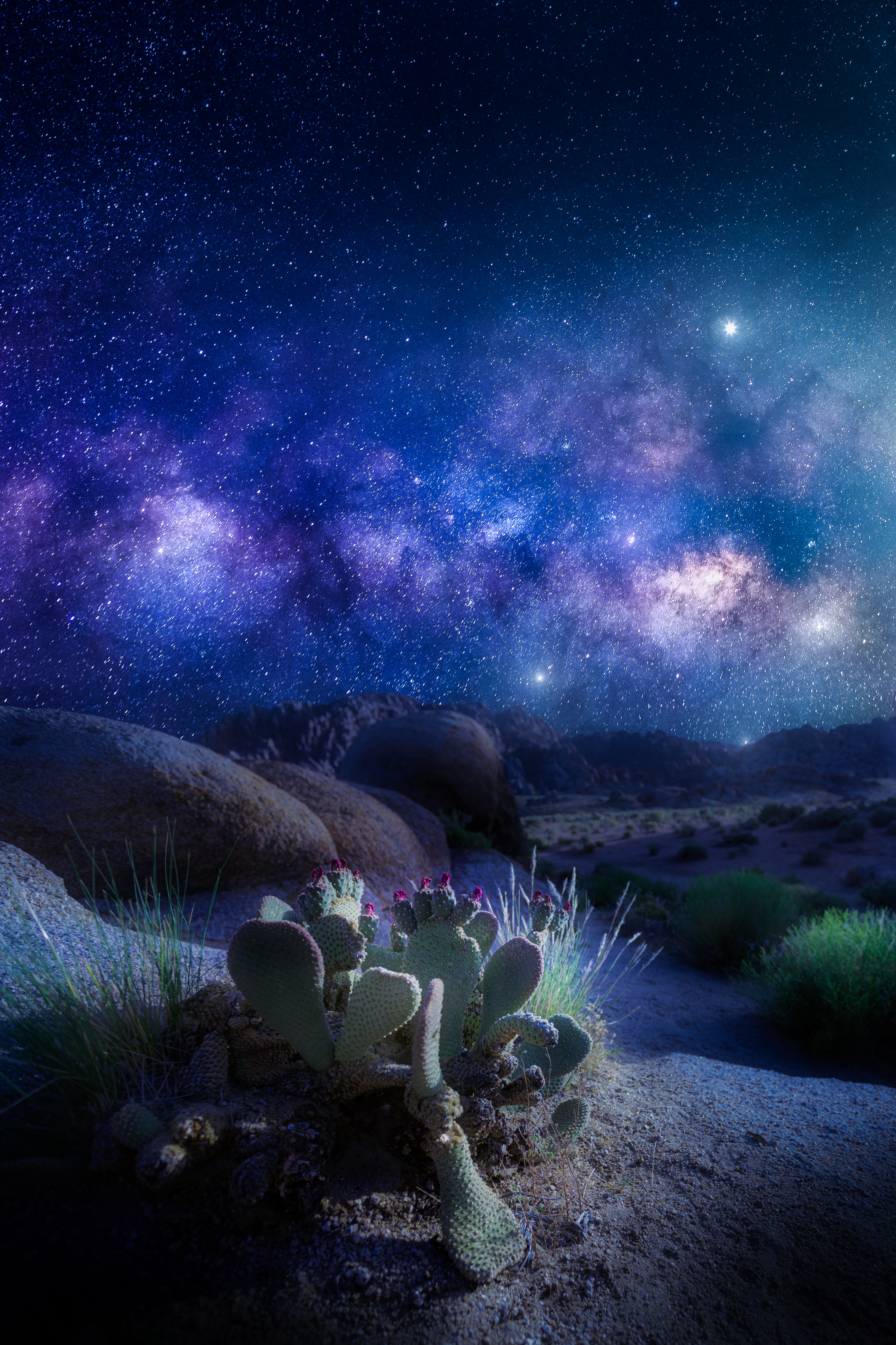 Starseed (Dreamscapes Series #1)