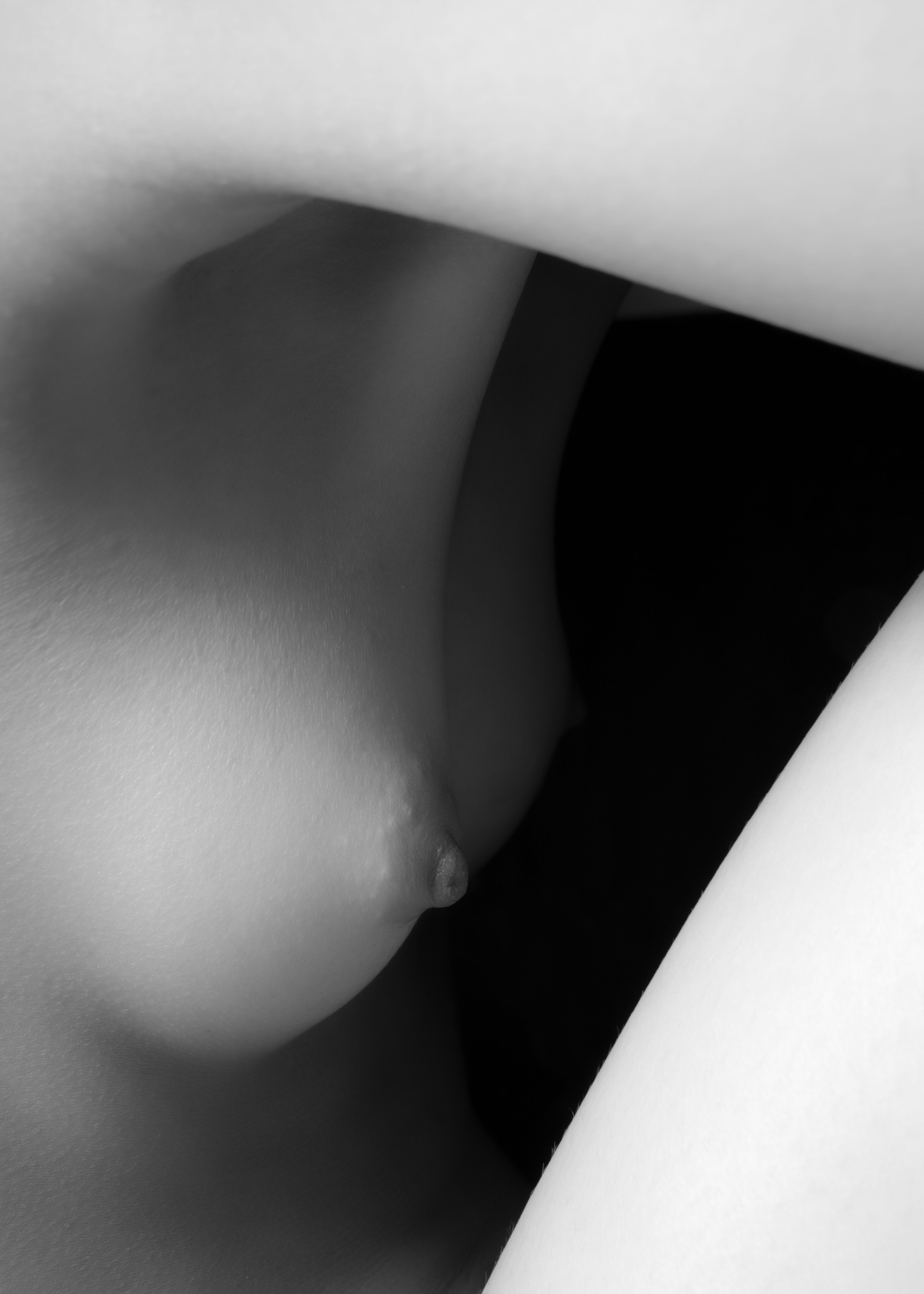 The Grace of Light #12